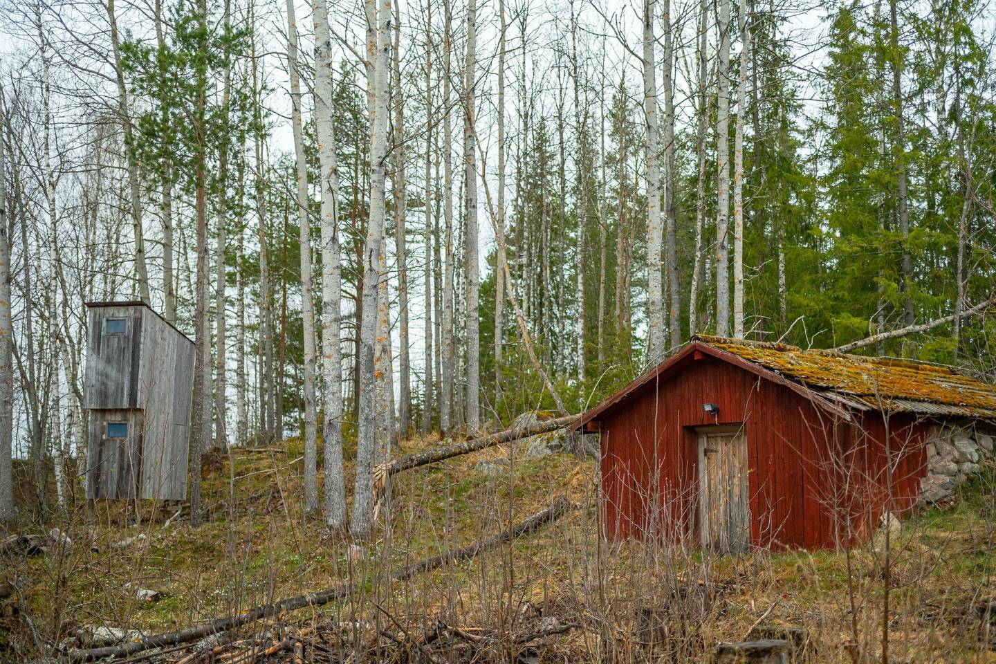 4 rum Gård utan jordbruk på Svartsbovägen 14 Svartsbo Ockelbo kommun - bild 16