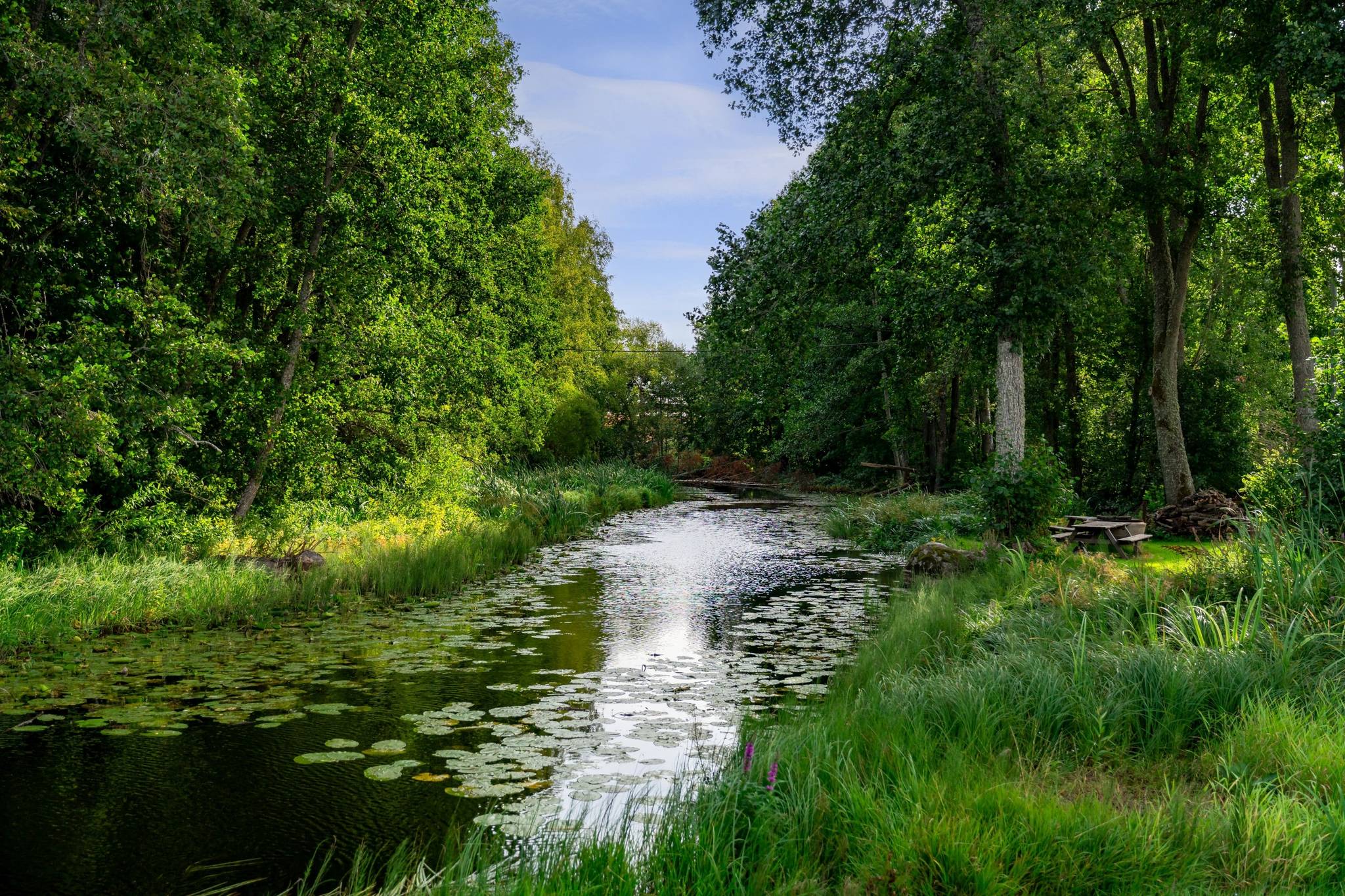 5 rum Villa på Häggeby 51 Björklinge Uppsala kommun - bild 33
