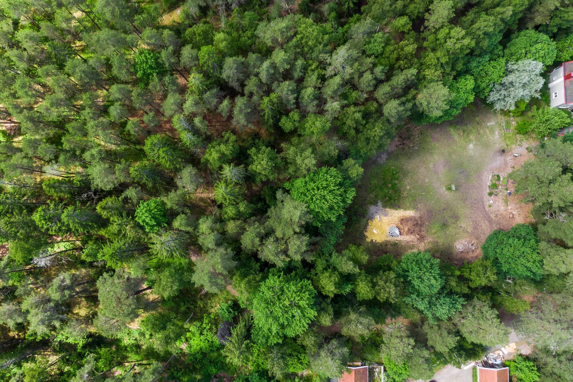 Gård/skog på SÖDERTÄLJE YTTERJÄRNA-NIBBLE 1:6 Järna/Nibble Södertälje kommun - bild 5