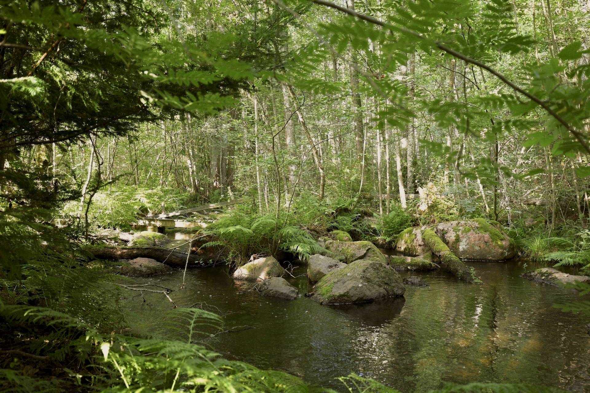 6 rum Villa på Egnahemsvägen 11 Kvillsfors Vetlanda kommun - bild 33