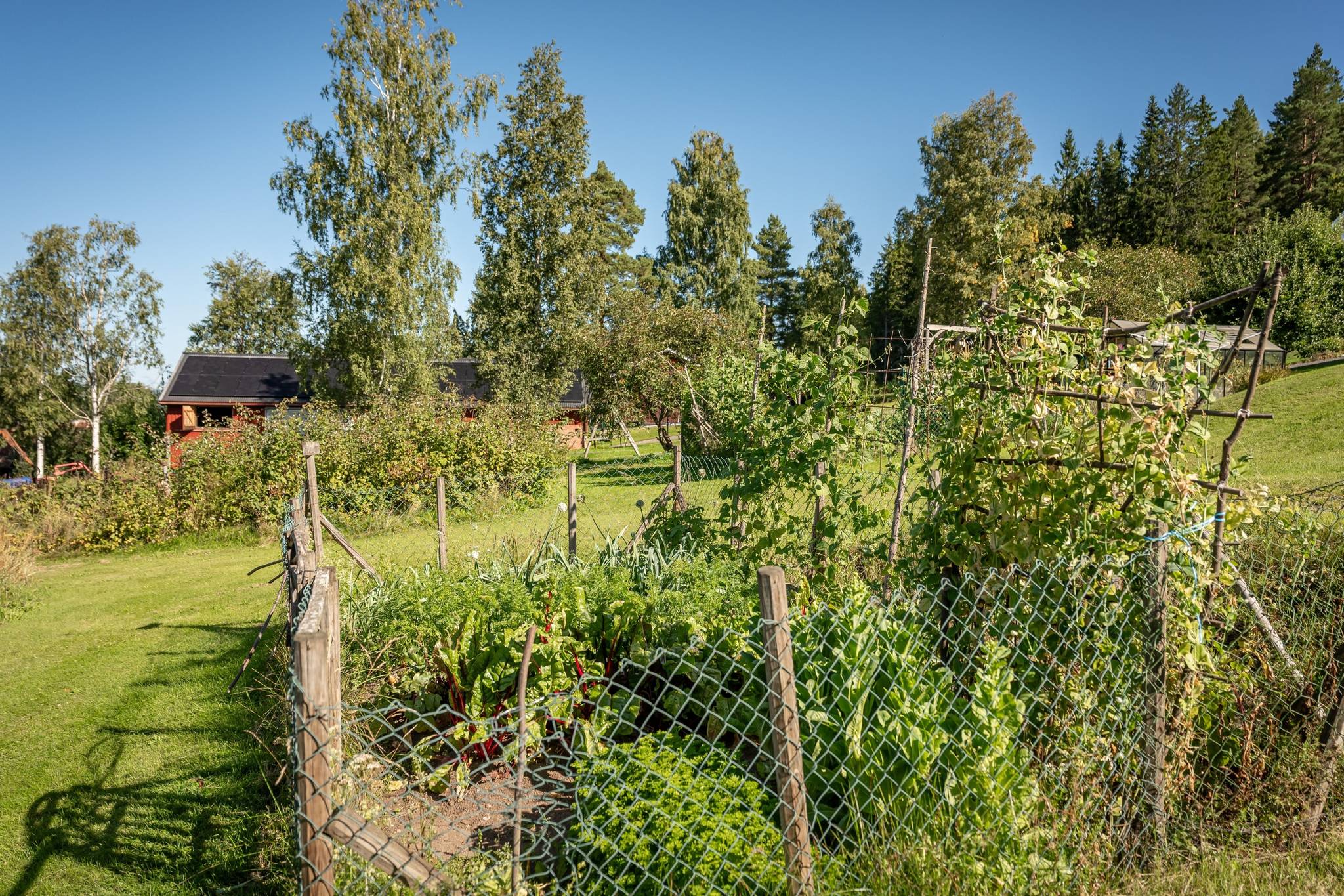 9 rum Gård med jordbruk på Gjutaregården 27 Sunne kommun - bild 54