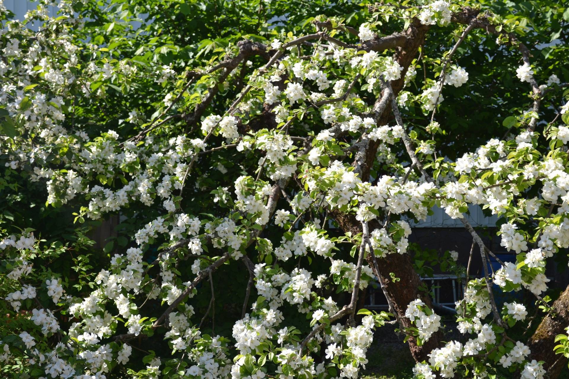 7 rum Parhus på Munktellsgatan 8 Eskilstuna kommun - bild 44