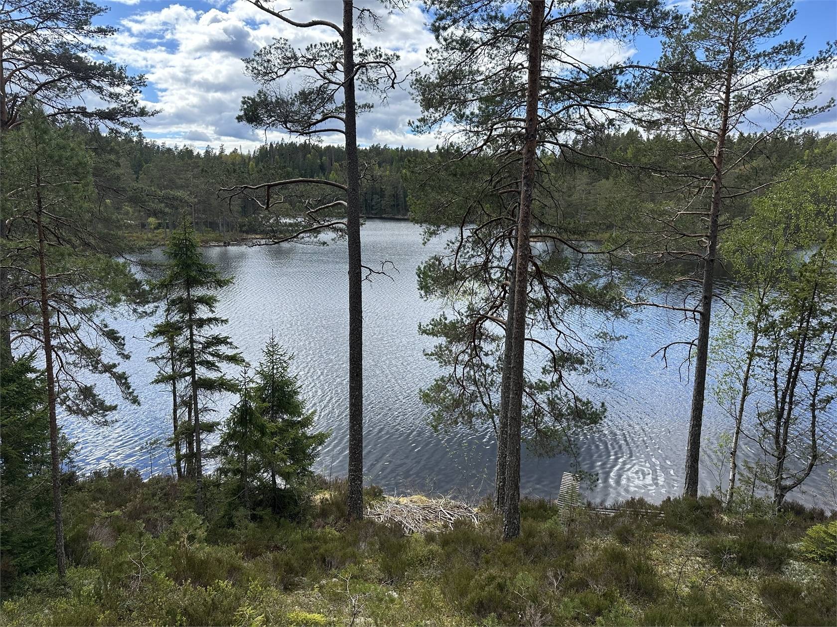 Villa på Mon Krokvattnet 1 o 2 Blomskog Årjängs kommun - bild 9
