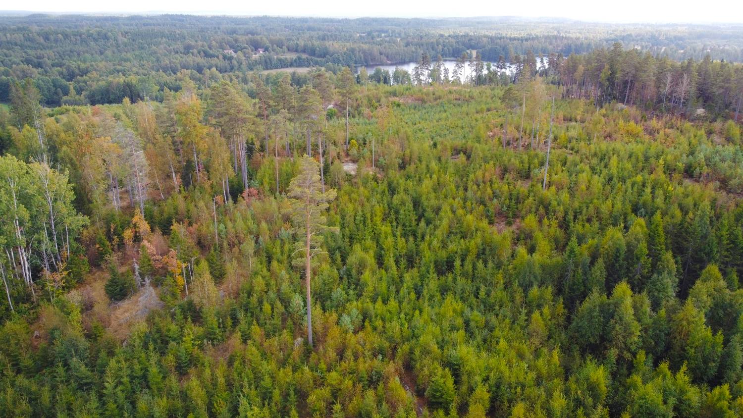 Tomt på Hulta 1:39 Närke Askersunds kommun - bild 5