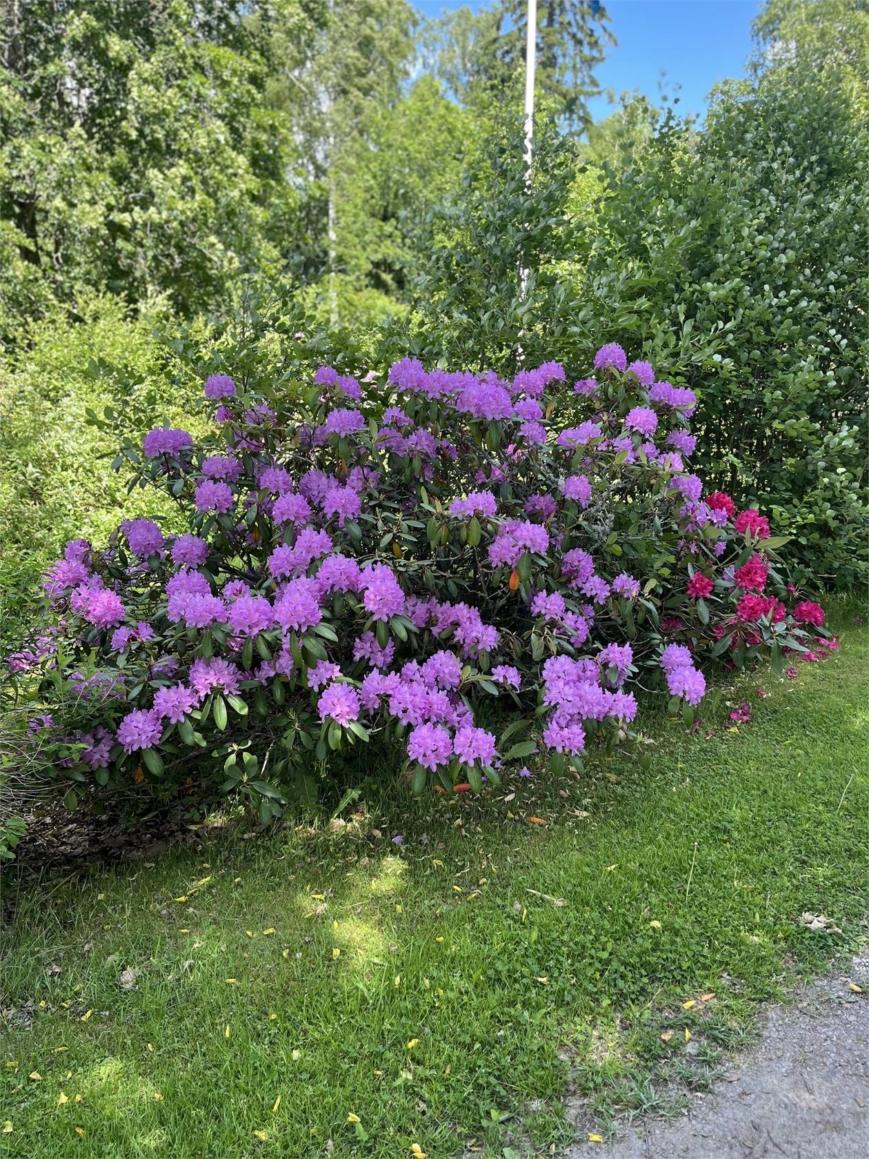 5 rum Villa på Enköping Norrby 4 Enköpings kommun - bild 42