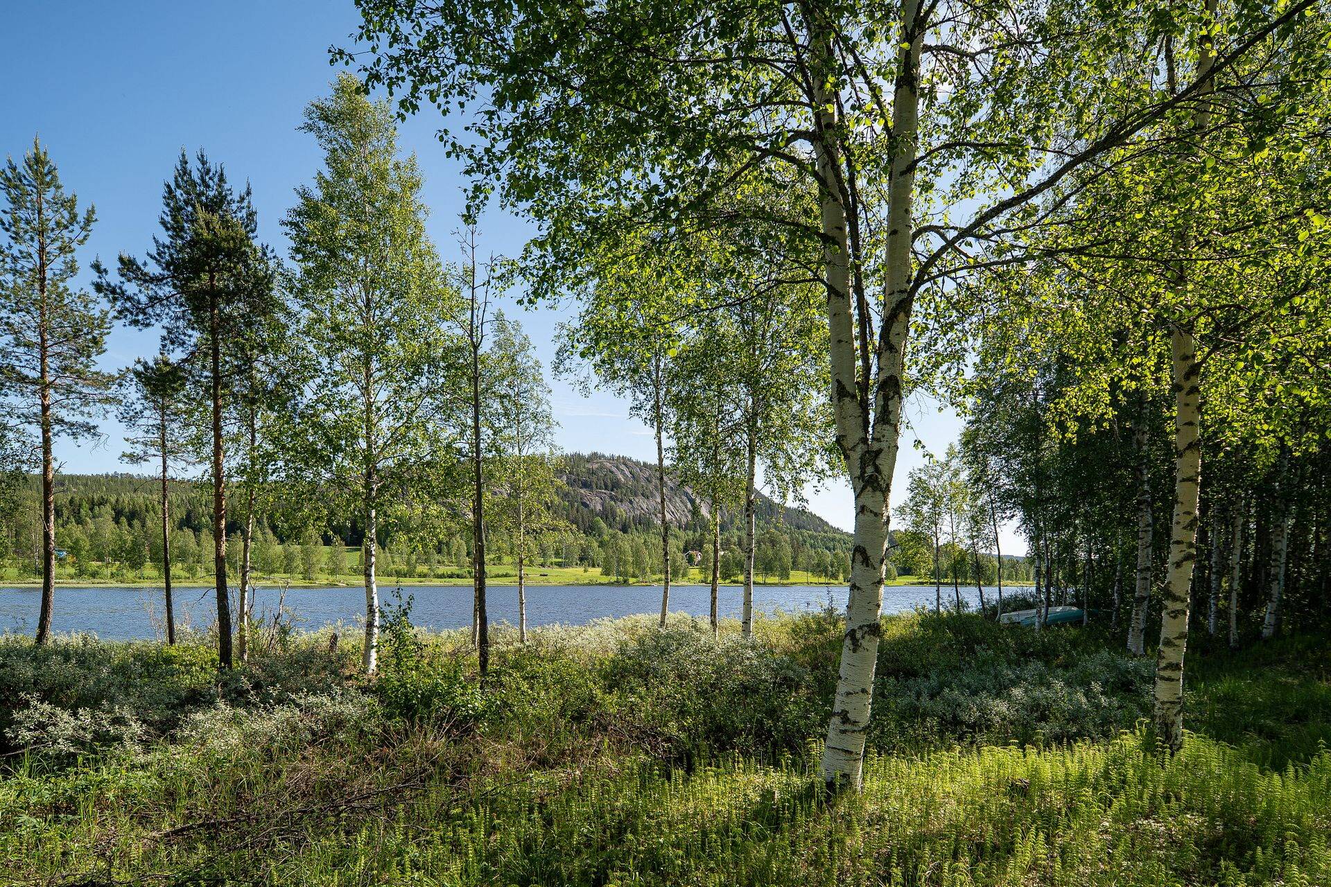 3 rum Fritidshus på Bergvattnet 111 Björna Örnsköldsviks kommun - bild 31