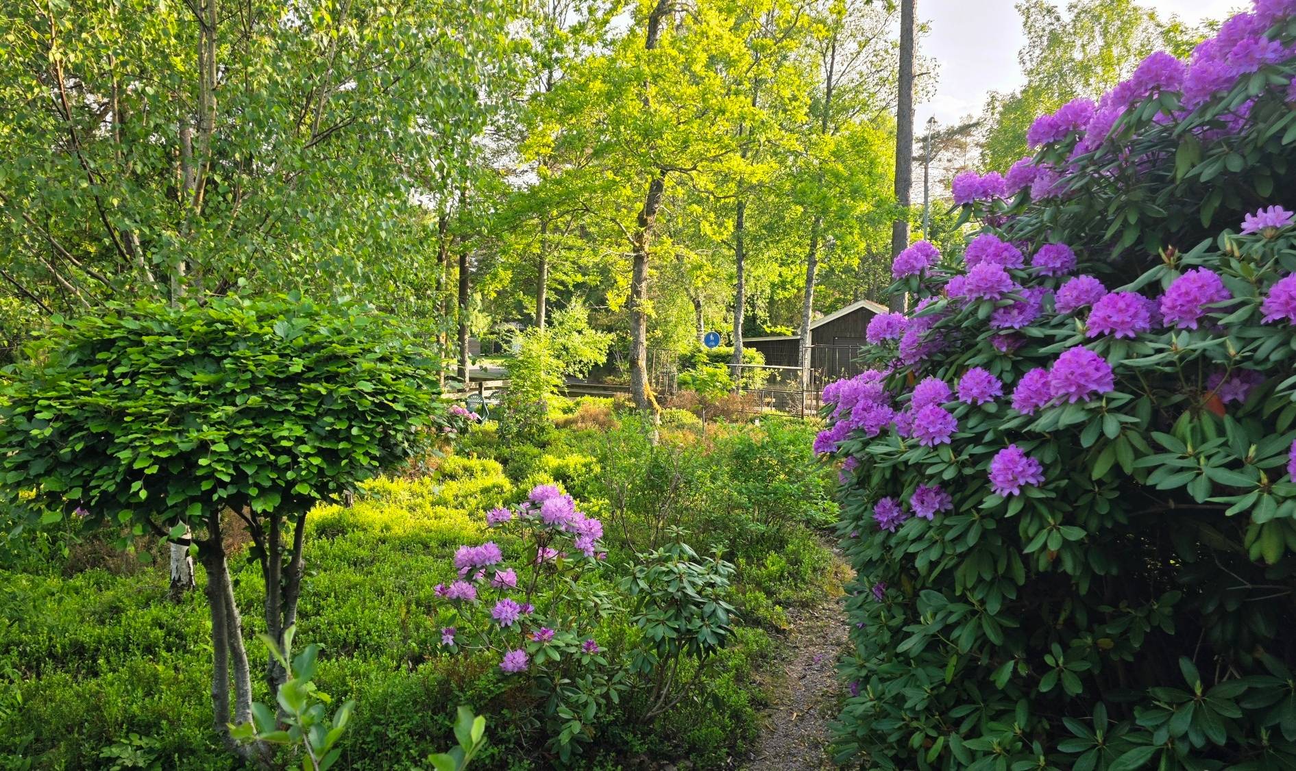 2.5 rum Vinterbonat fritidshus på Karl Perssons väg 6 Vittsjö Hässleholms kommun - bild 29
