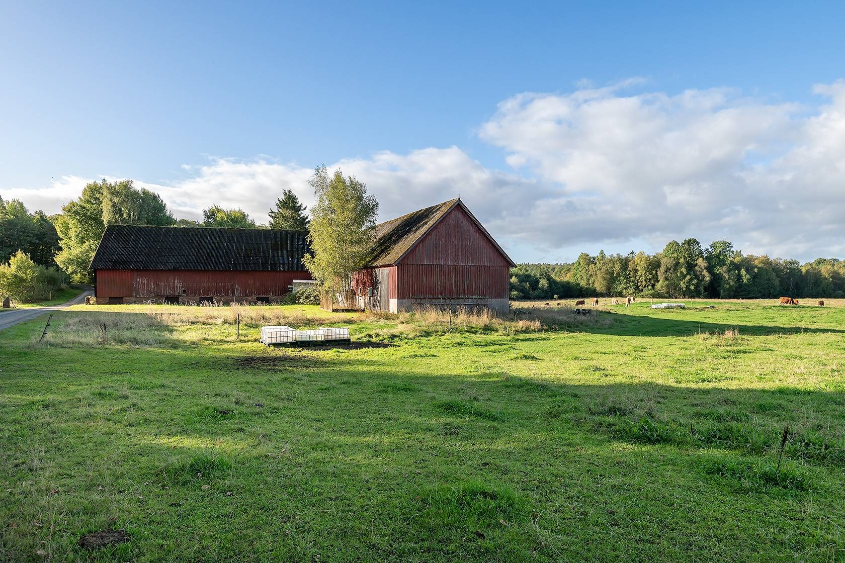 Gård/skog på Bosjöholm Åsljunga Örkelljunga kommun - bild 8