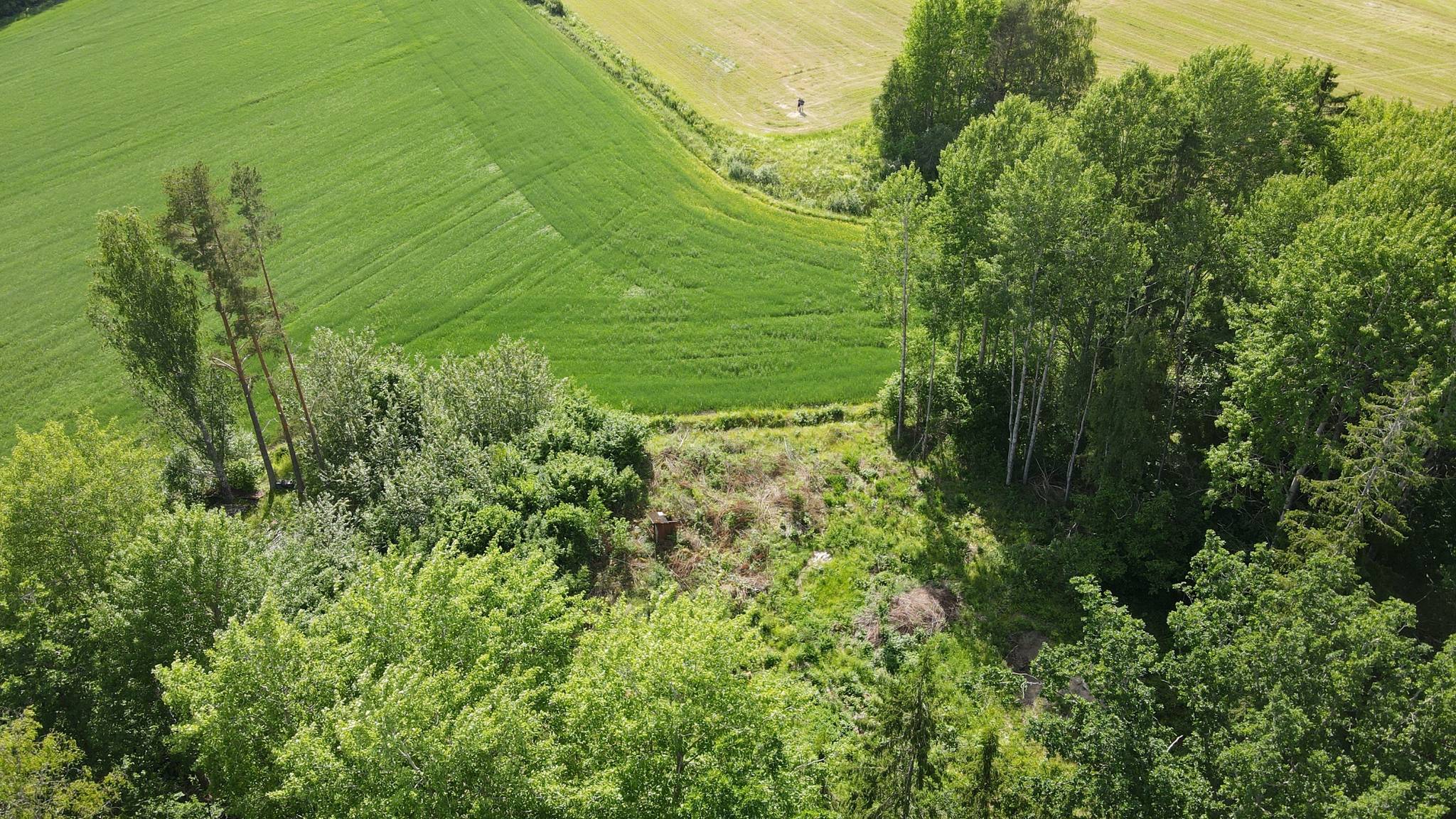 Tomt på Fresta 126 Alunda Östhammars kommun - bild 4