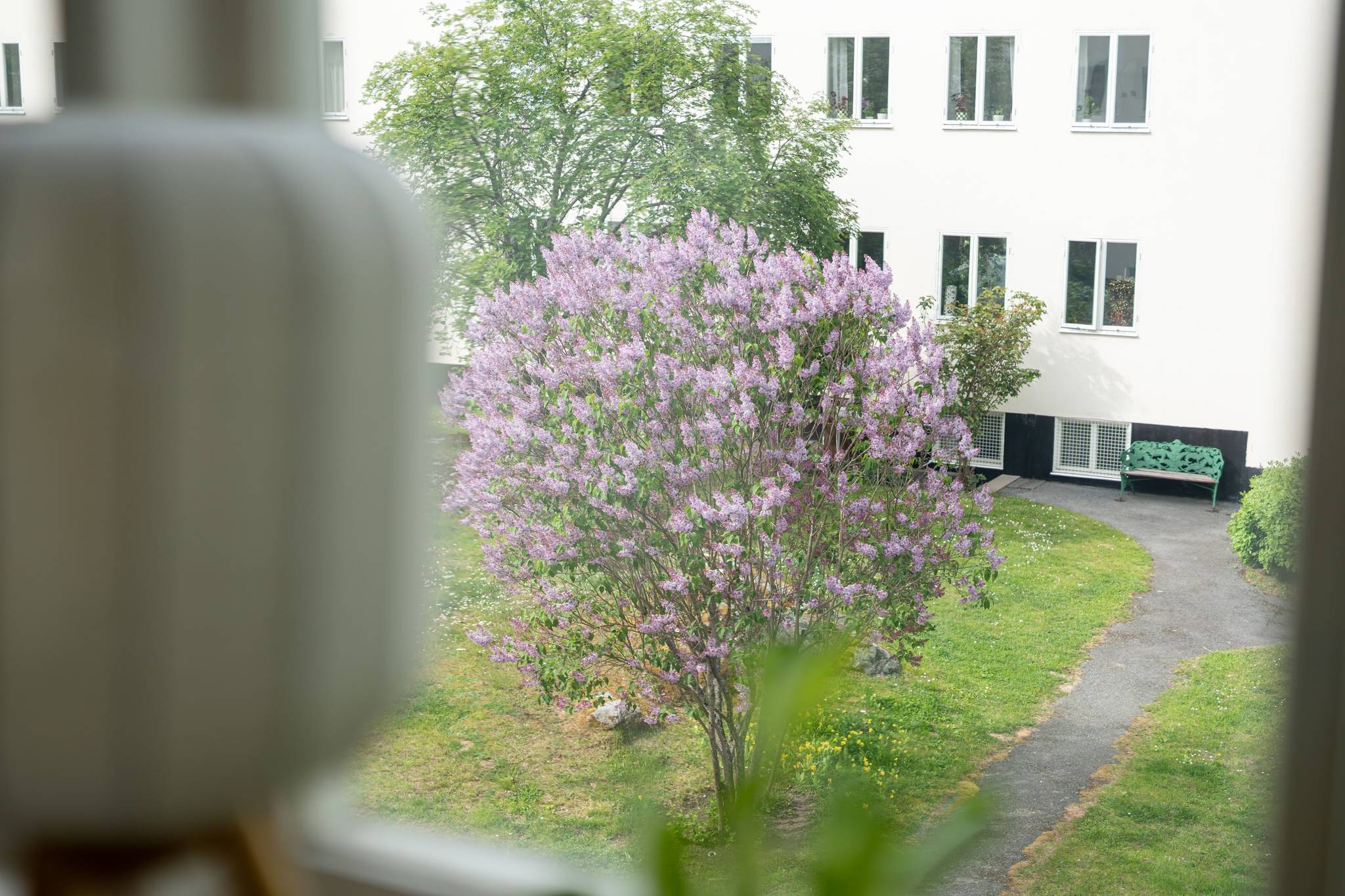2 rum lägenhet på Krångedevägen 23 Hjorthagen, Stockholms kommun - bild 5