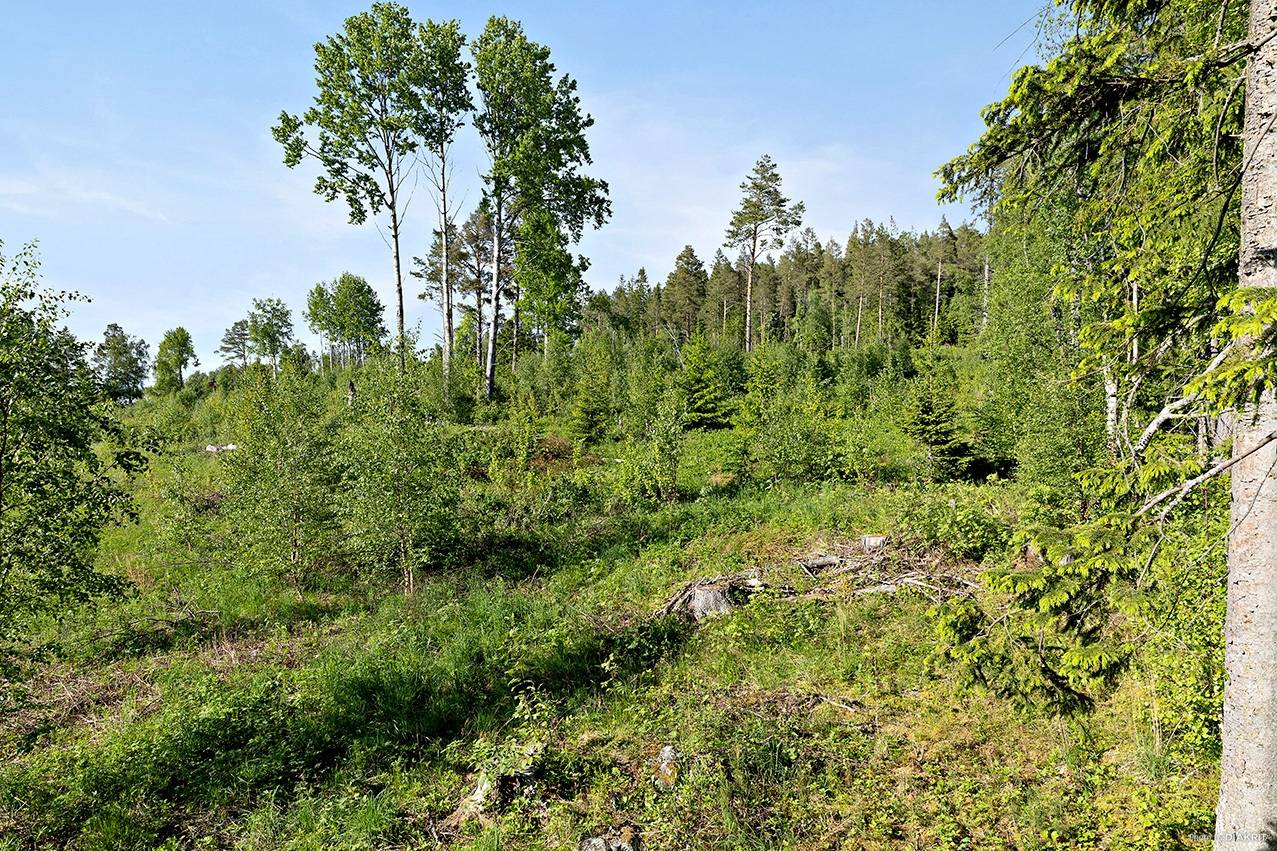 tomt på Sunne-Gärde 2:53 Orrviken, Östersunds kommun - bild 3