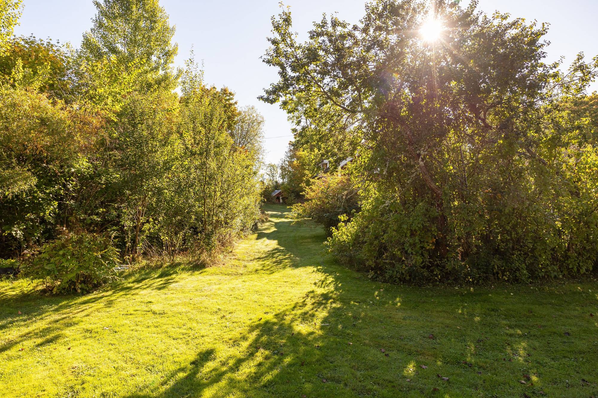 6 rum Gård/skog på Rickeby 21 Knutby Uppsala kommun - bild 24
