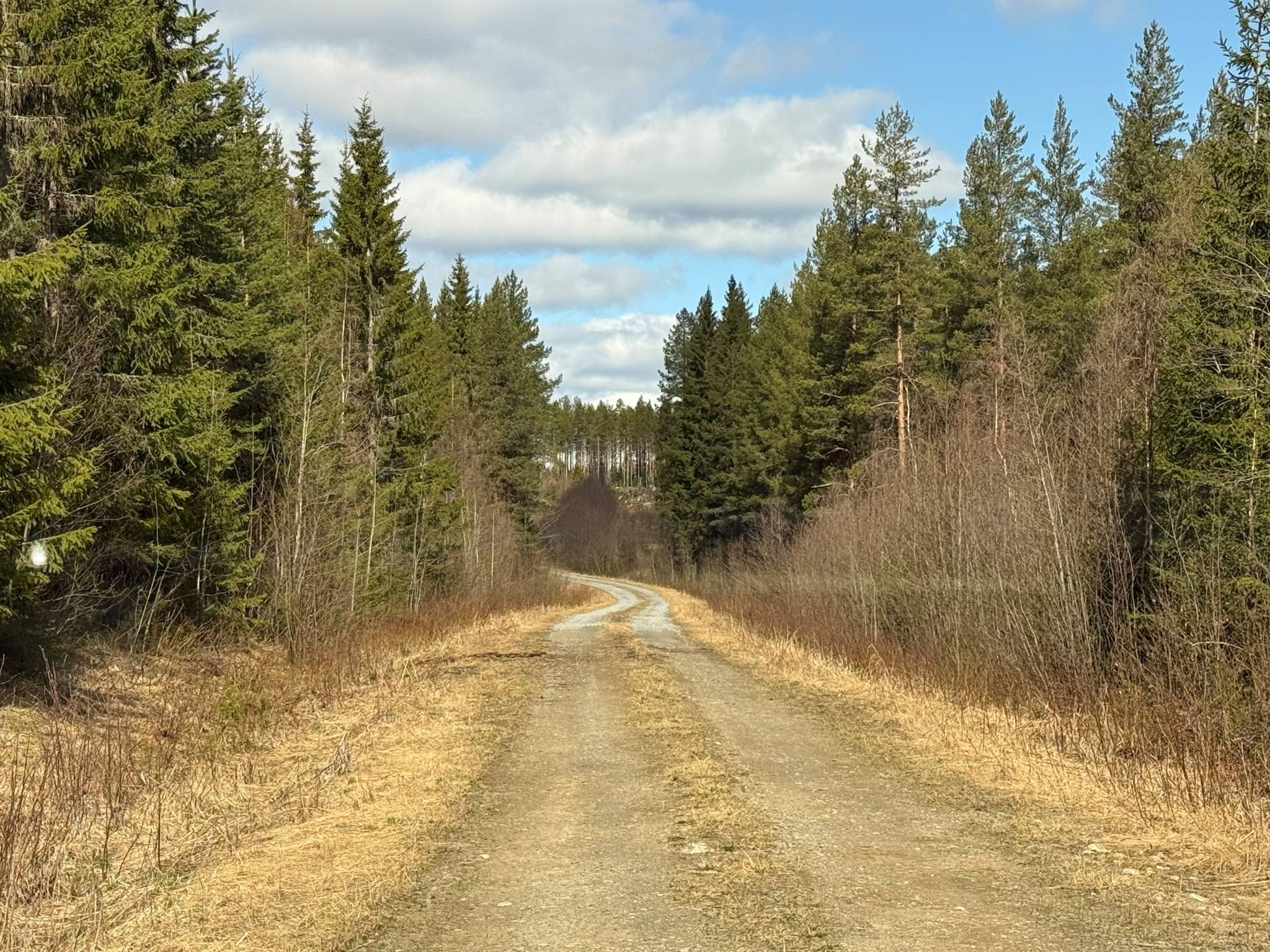 Gård med skogsbruk på Skogsegendomen Mjösjö 128 ha Nordmalings kommun - bild 10