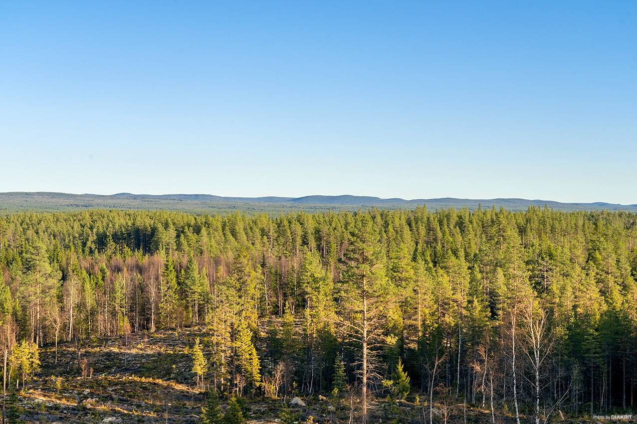 Gård med skogsbruk Älvdalens kommun - bild 2