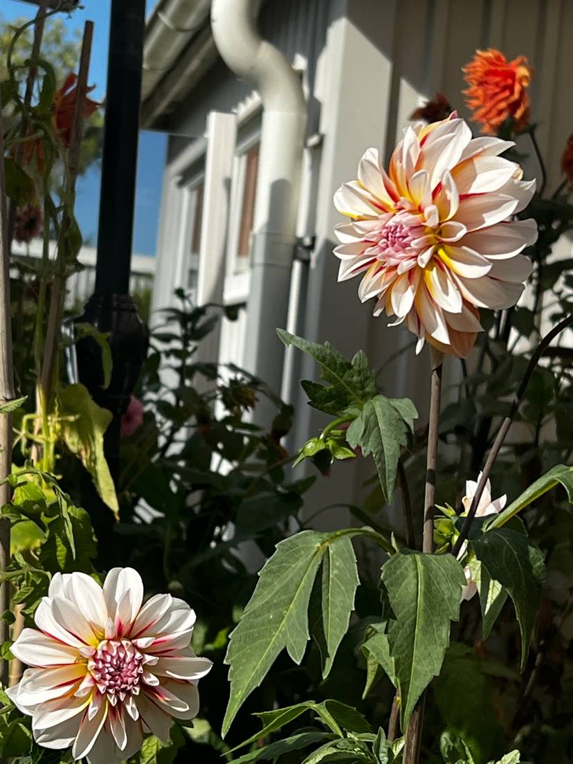 4 rum Par-/kedje-/radhus på Solrosgatan 18 Torshälla Eskilstuna kommun - bild 54