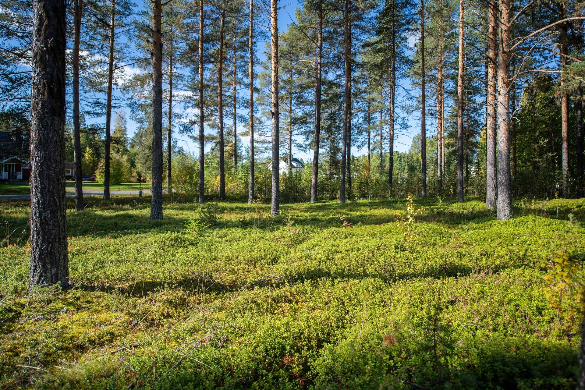 7 rum Villa på Byavägen 19 Vormsele Lycksele kommun - bild 80