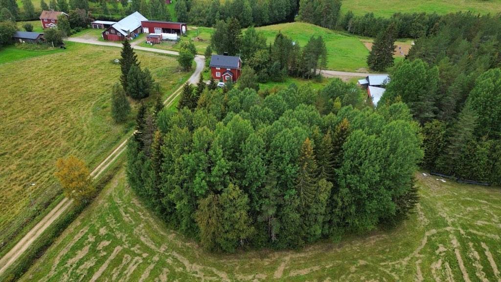 4 rum Villa på Gravfors 30 Gravmark Umeå kommun - bild 4