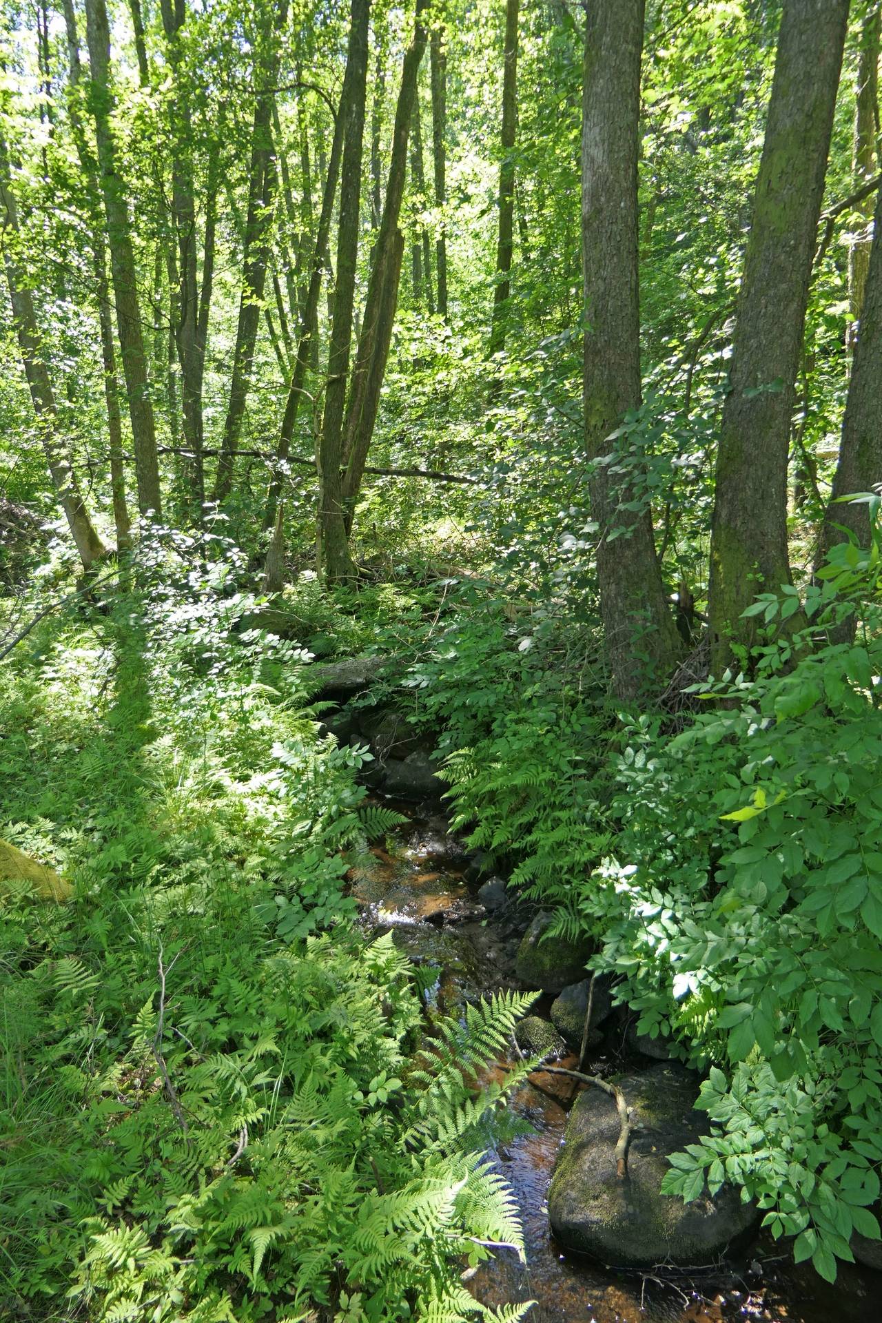 Gård/skog på Skvalpan Göteborgs kommun - bild 10