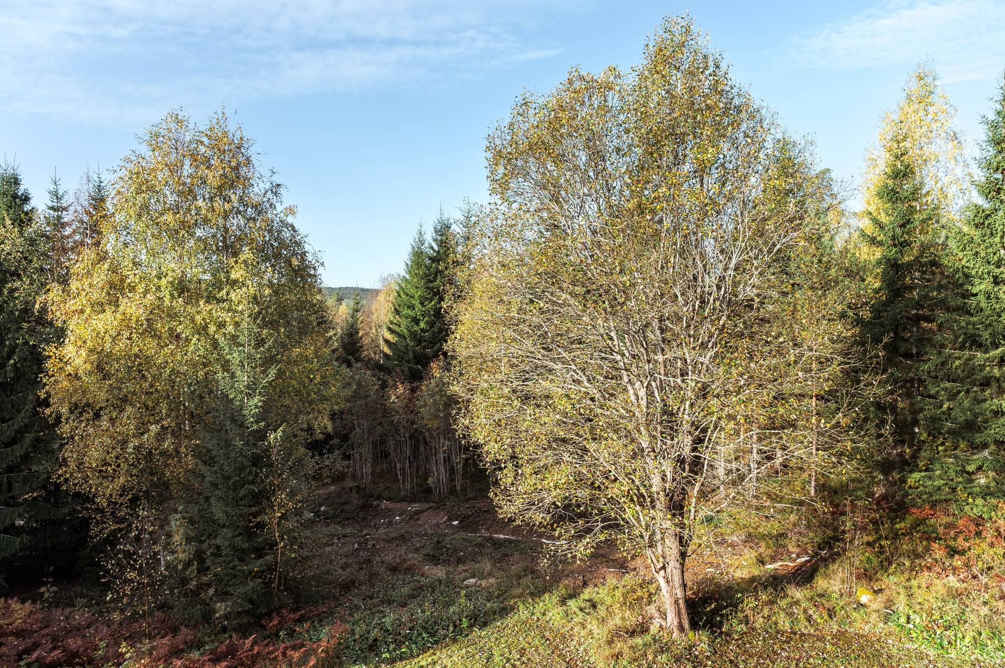 4 rum Lägenhet på Malins väg 23 Skräddarbacken Borlänge kommun - bild 27