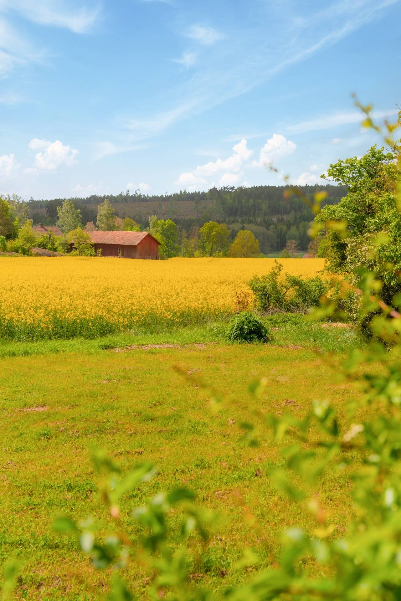 10 rum Villa på Tuna by Klockargården 1 Nyköping Nyköpings kommun - bild 55