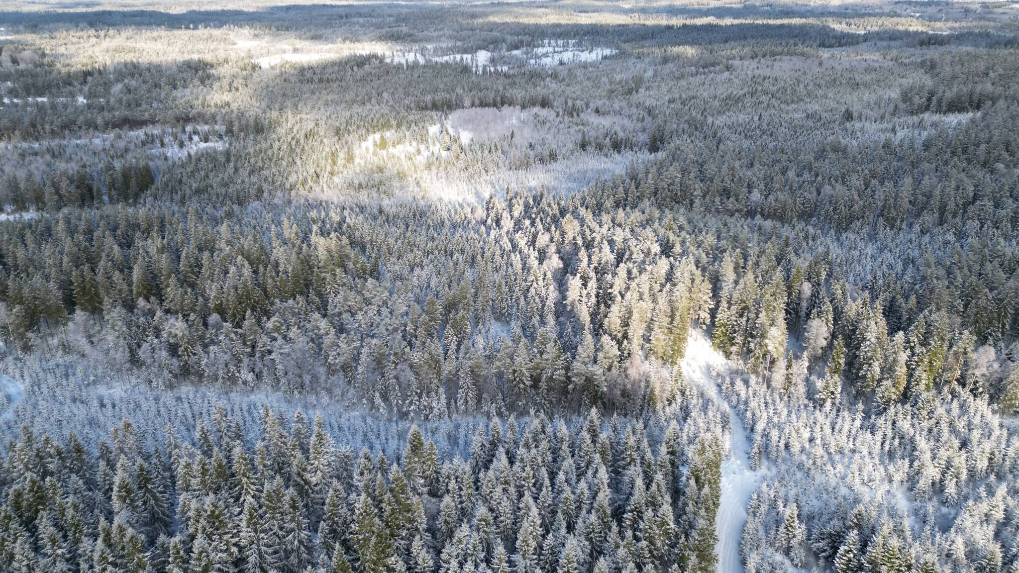 5 rum Vinterbonat fritidshus på Hökhult 1 Tranemo kommun - bild 99