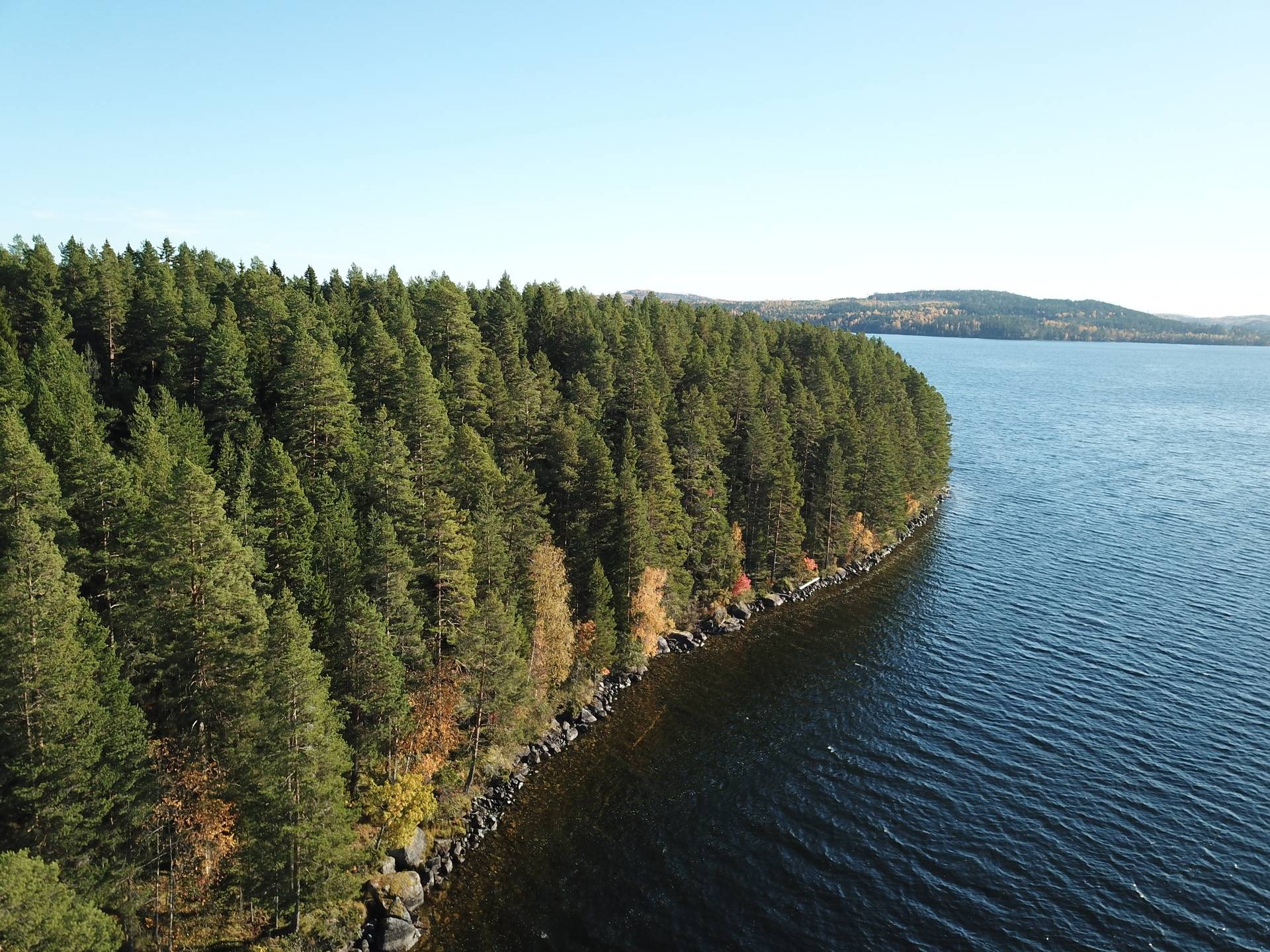 Gård/skog på Lillön 110 Bräcke kommun - bild 18