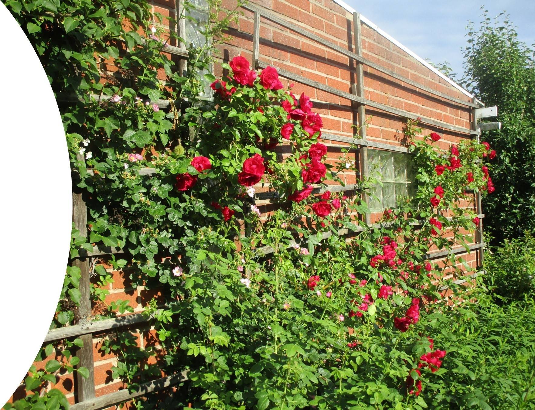 5 rum Villa på Von Platens gata 10 Sjukhusgärdet Arboga kommun - bild 26
