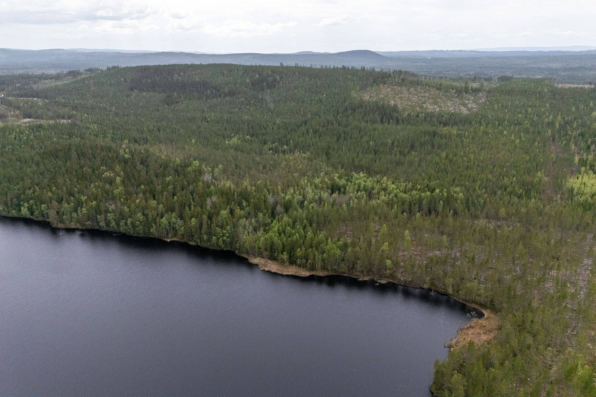 Gård med skogsbruk på LJUSDAL KVARNBERG 1:23 Ljusdals kommun - bild 14