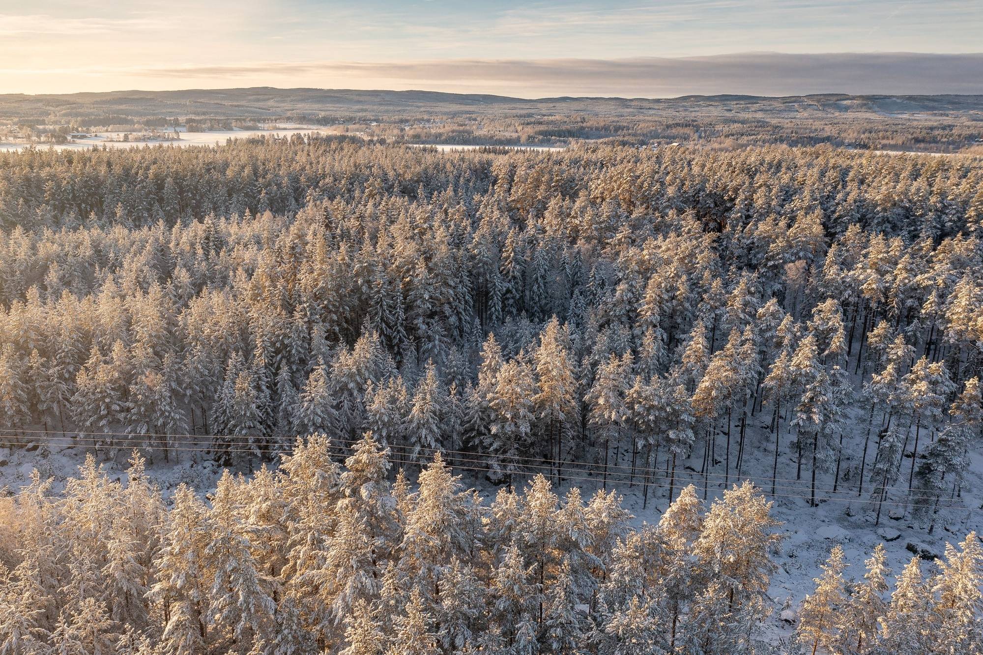 Gård med skogsbruk på Yttertänger 9:13 Hedkärra Falu kommun - bild 6