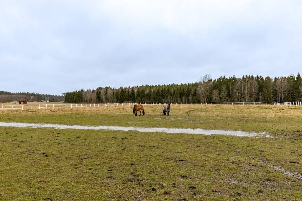 8 rum Gård utan jordbruk på Västerskog Hasselskog 1 Västerskog Skara kommun - bild 34