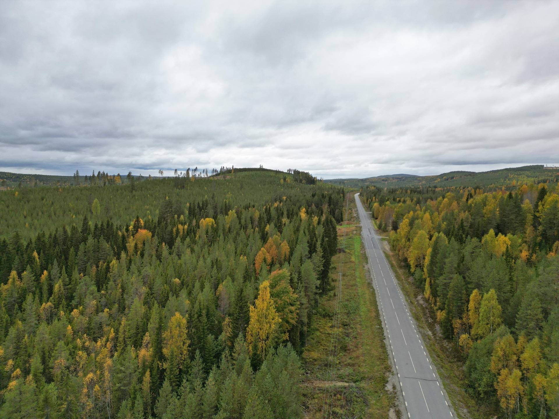 Gård/skog på Västra Strömåker Bjurholms kommun - bild 16
