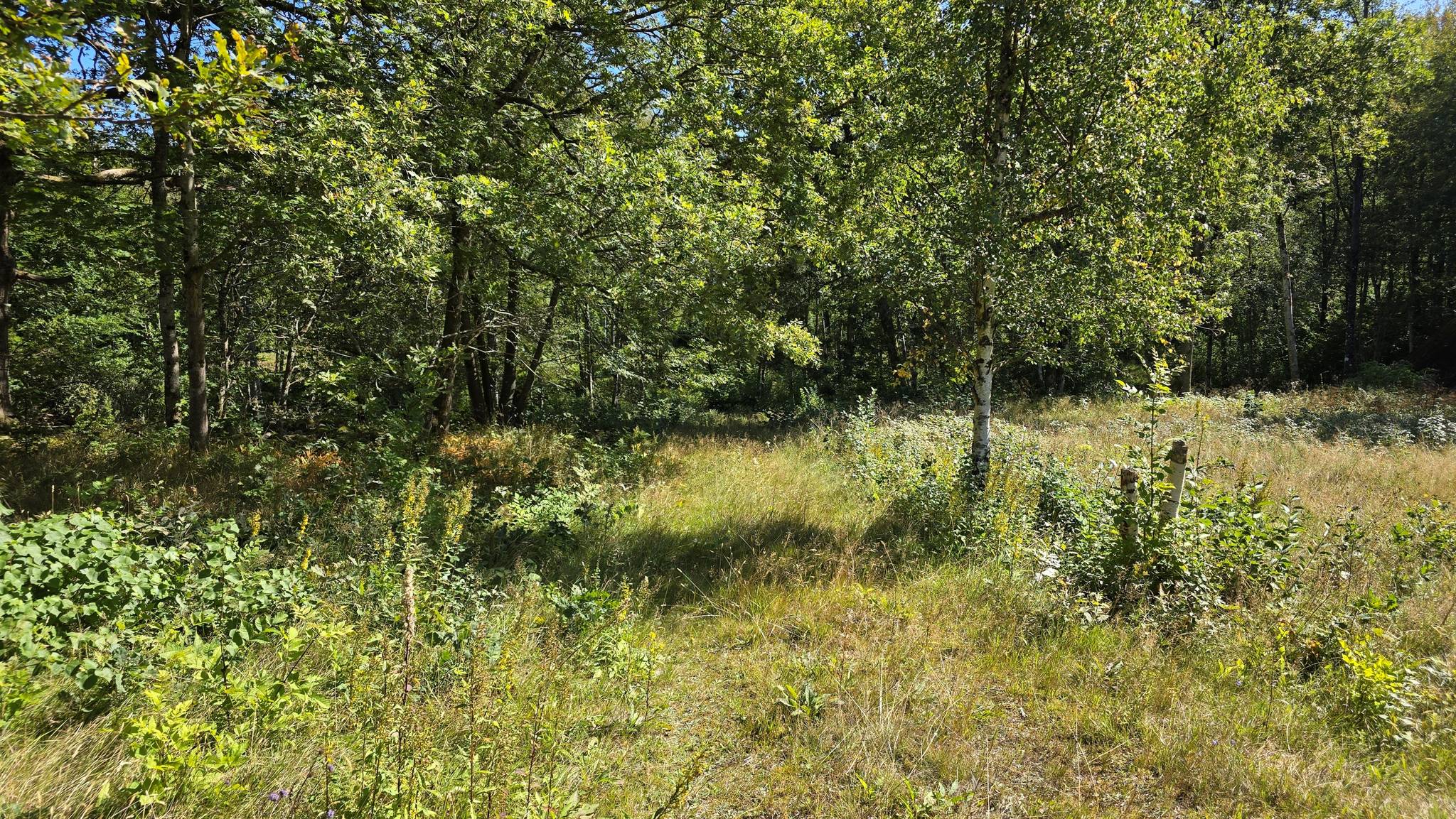 3 rum Fritidshus på Nädhult 409 Hylte kommun - bild 6