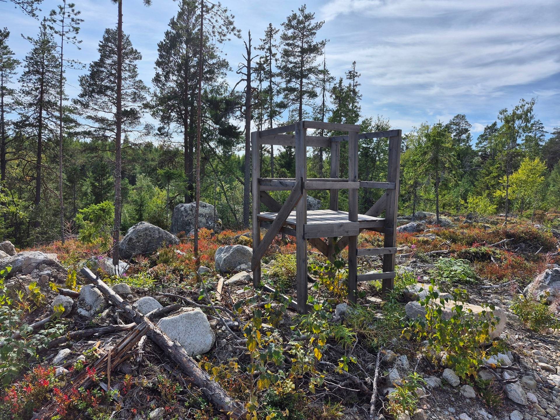 Gård/skog på Skog vid havet HUDIKSVALL - KÖLSUND Hudiksvalls kommun - bild 13