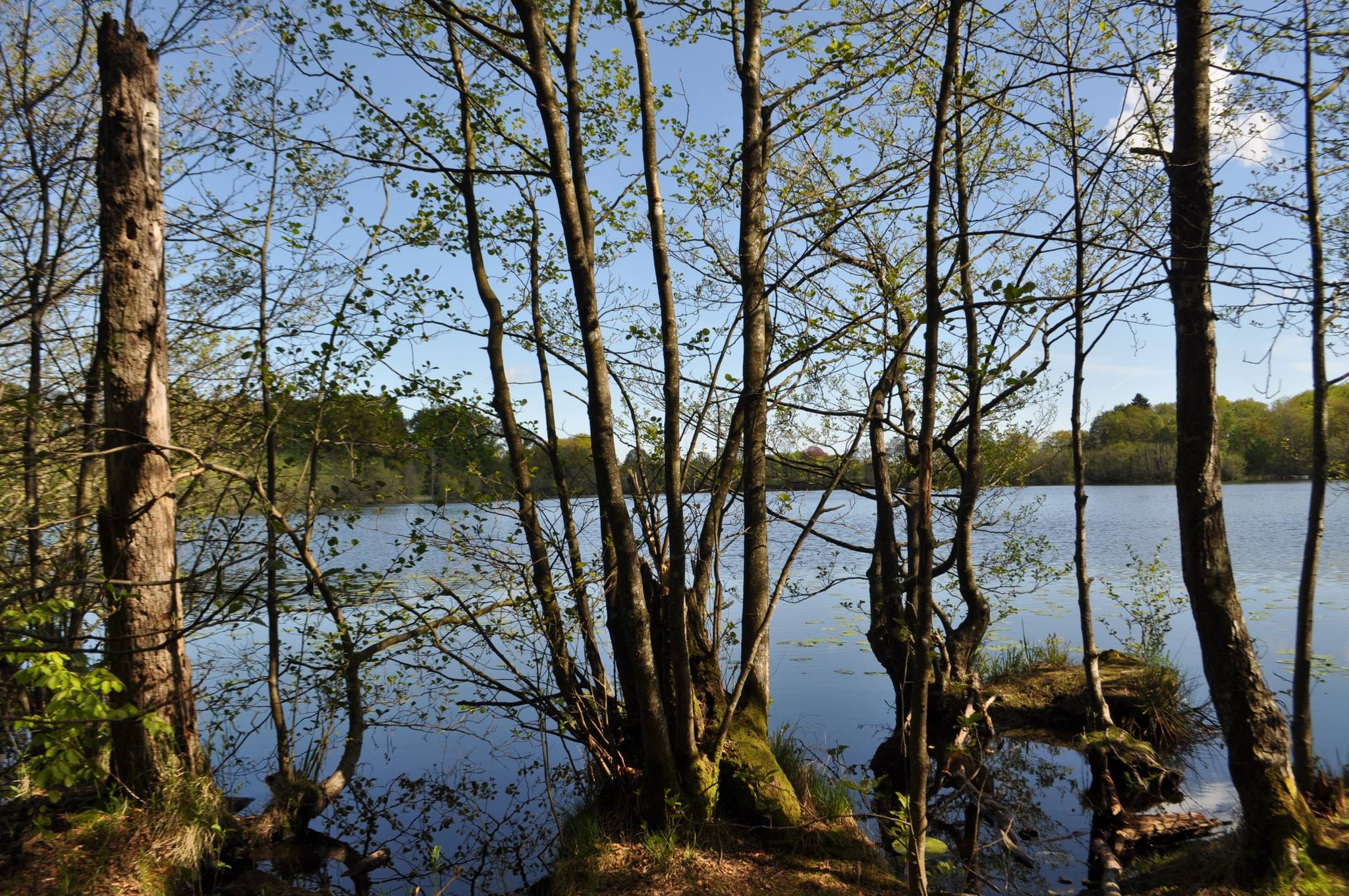 6 rum Villa på Norra Sturupsvägen 380-66 Eksholms naturreservat Svedala kommun - bild 77