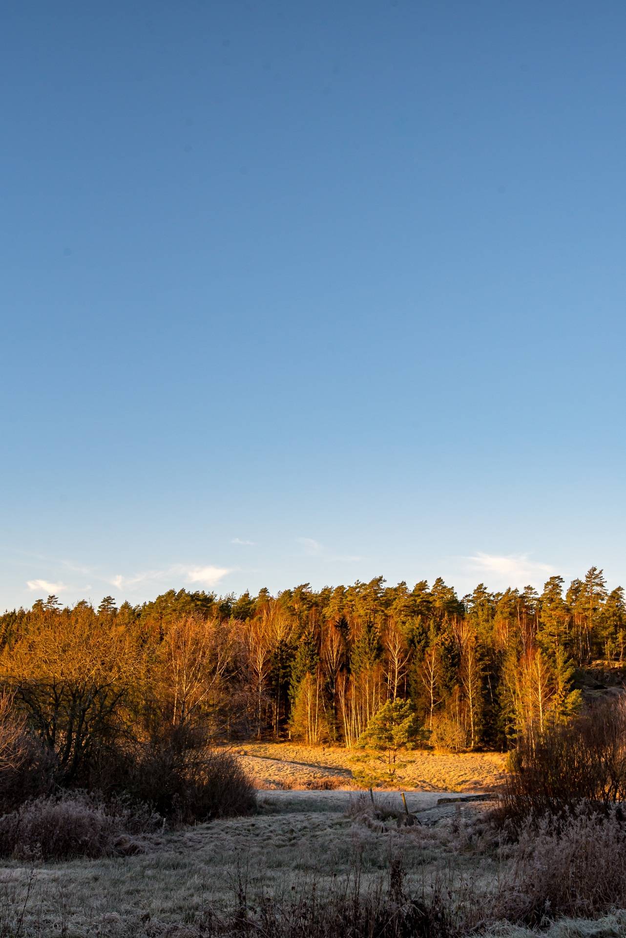 5 rum Villa på Kalleby 1 Tanums kommun - bild 30