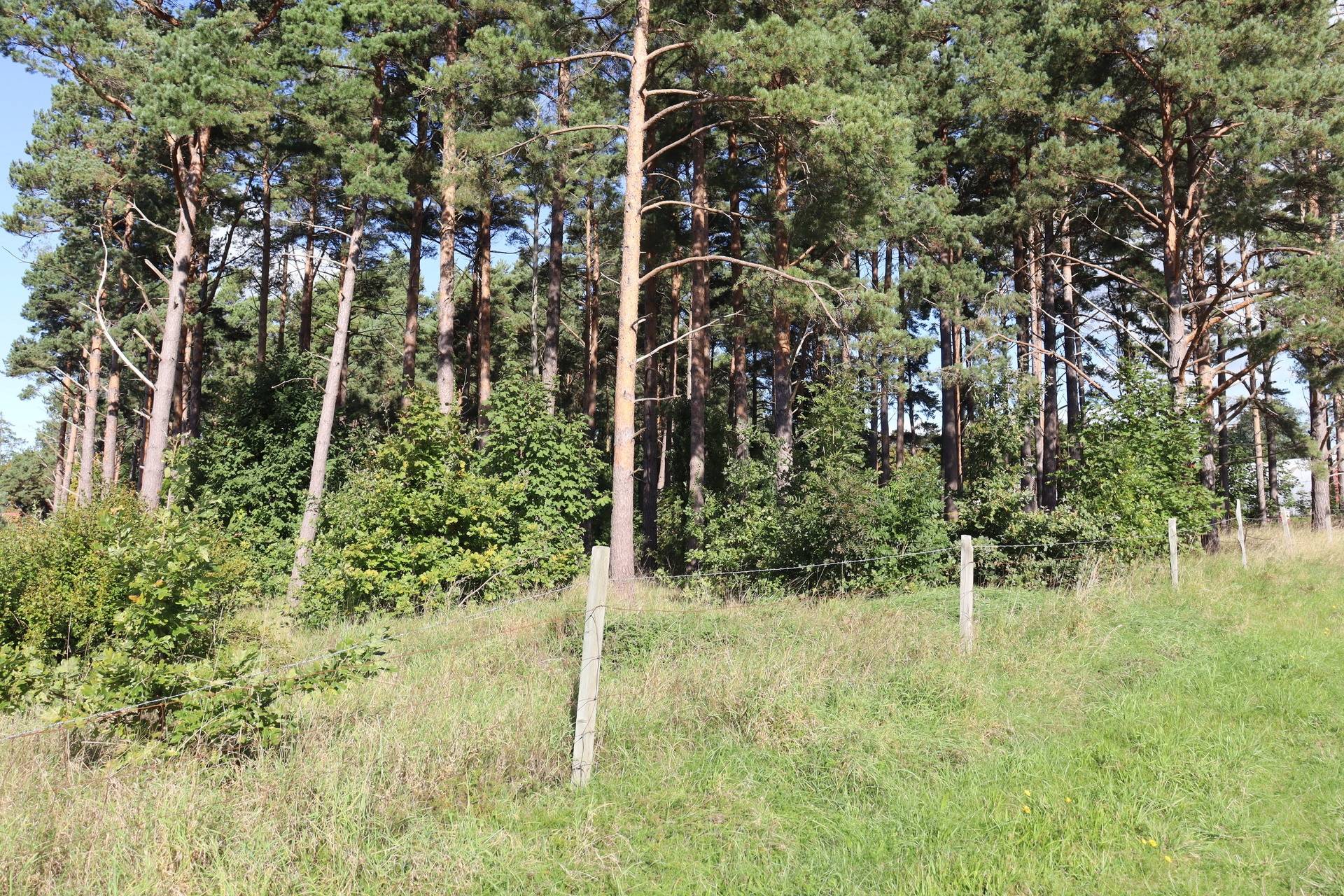 6 rum Gård med jordbruk på Prästgårdsvägen 53 Havdhem - Södra Gotland Gotlands kommun - bild 81