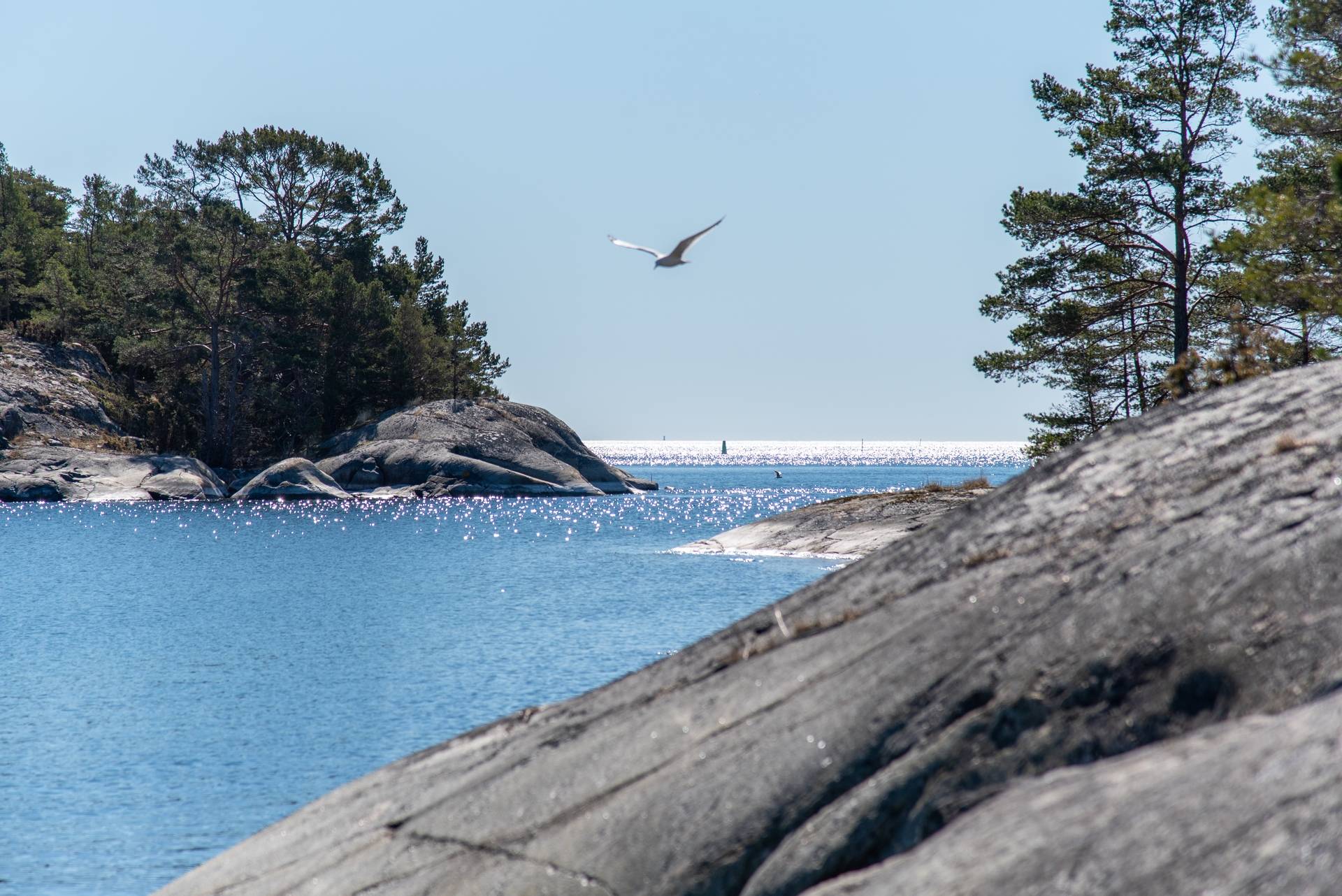 4 rum Lägenhet på Telegrafholmen hus 26 Värmdö - Sandhamn - Telegrafholmen hus 26 Värmdö kommun - bild 5