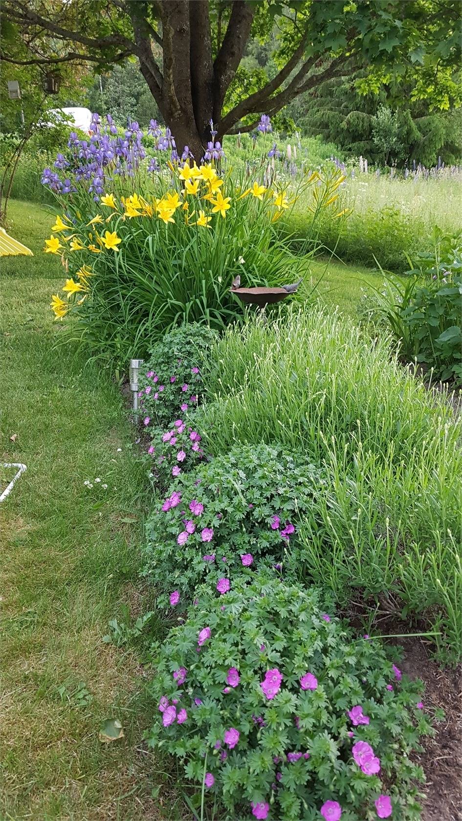 3 rum Villa på Nore Norestugan Sunnemo Hagfors kommun - bild 43