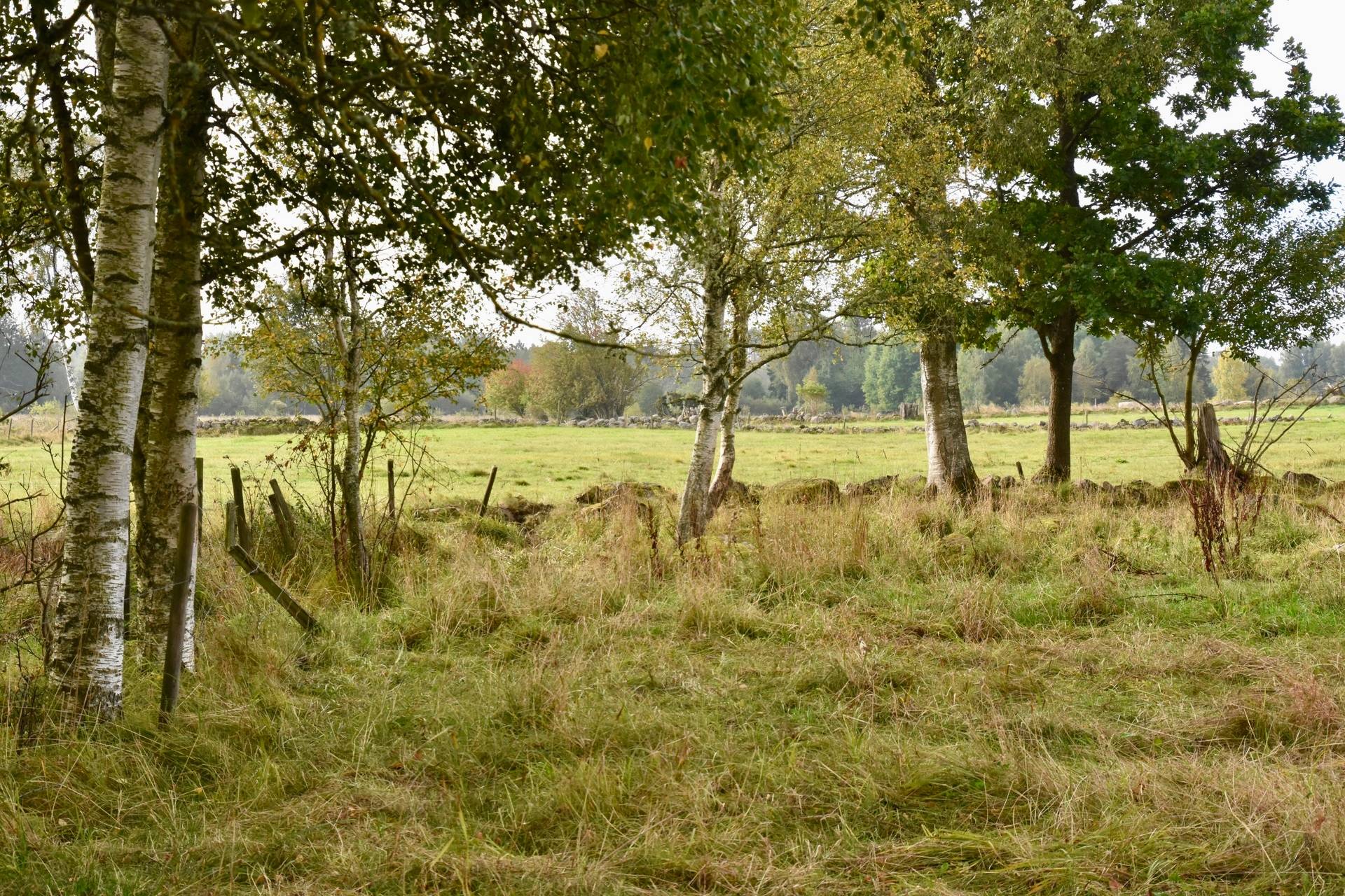 4 rum Gård med jordbruk på Borgunda Börsbo Borgunda Falköpings kommun - bild 34
