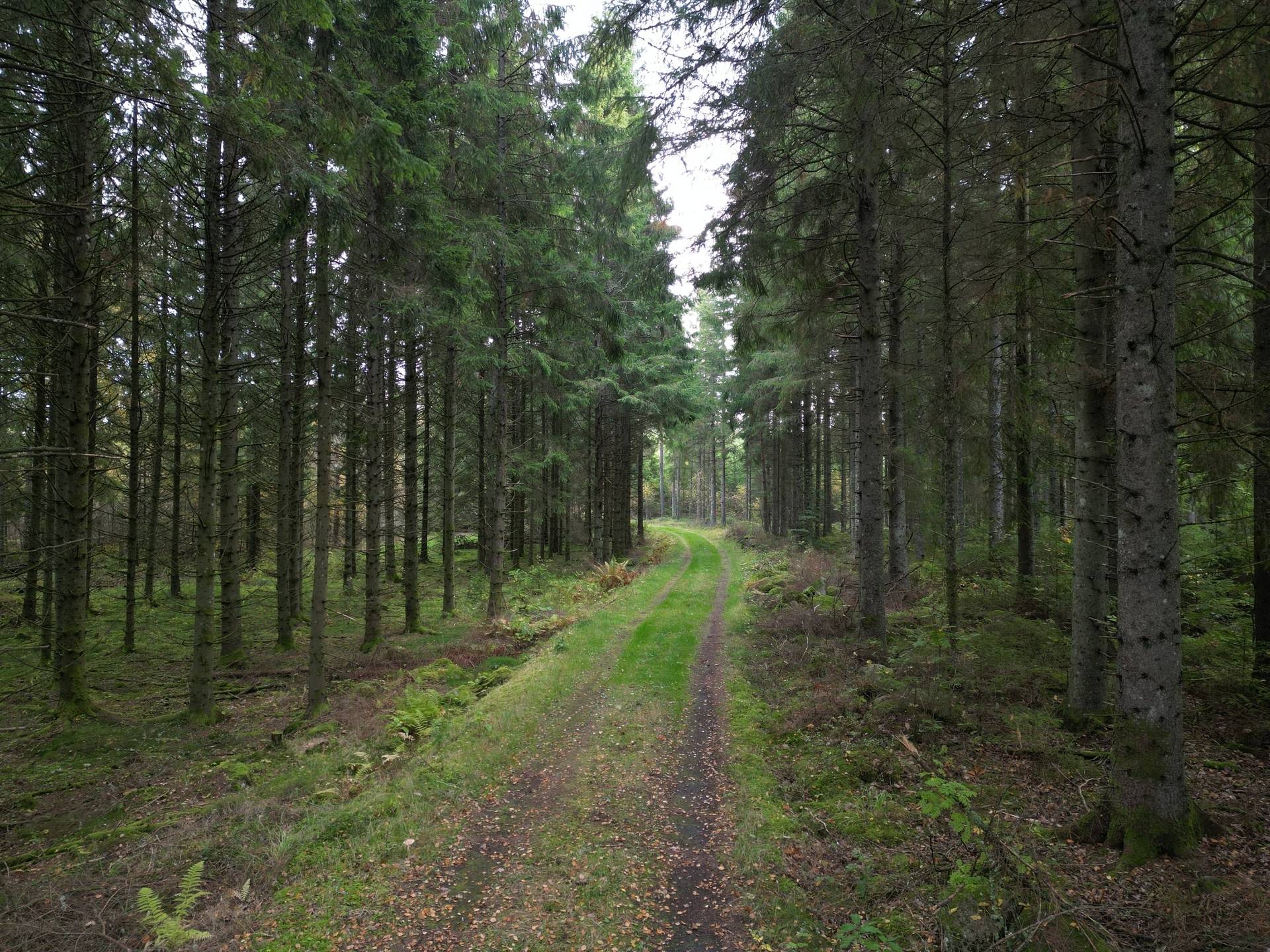 Gård med jordbruk på Yttrebo 107 Hylte kommun - bild 30