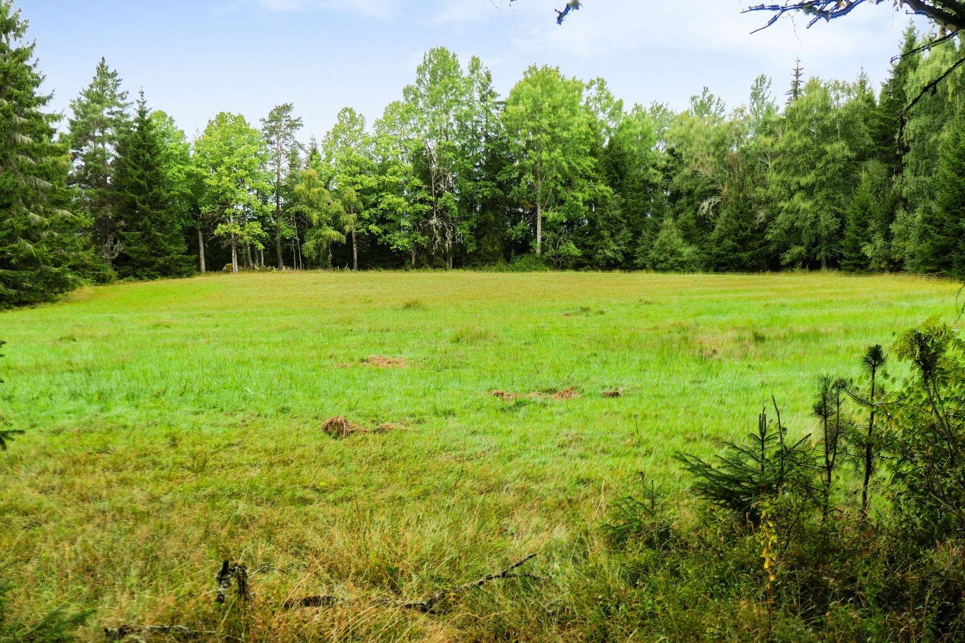 Gård/skog på Galneryd 1 Hjo kommun - bild 16