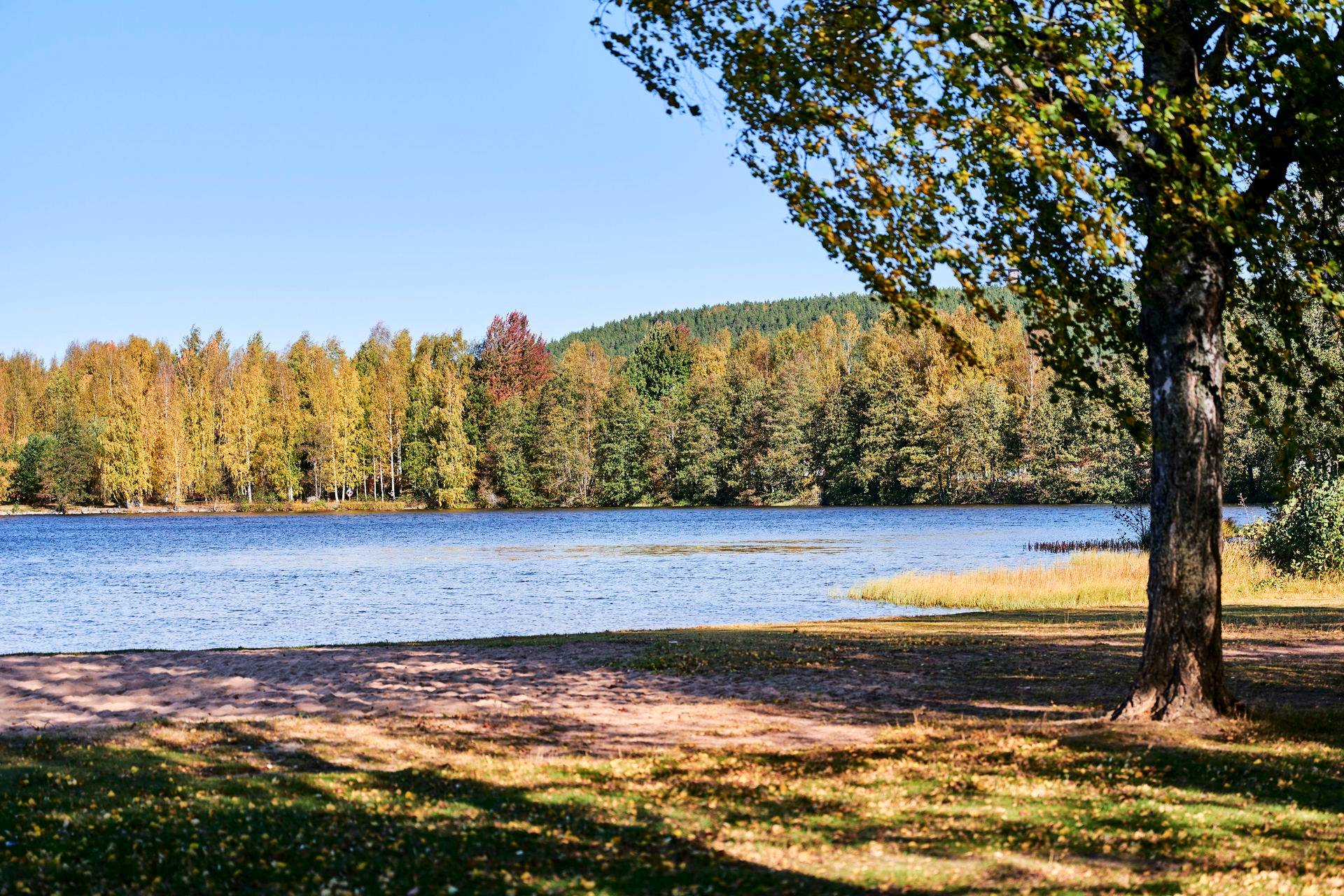 5 rum Villa på Blindgatan 64B Östanfors Falu kommun - bild 47