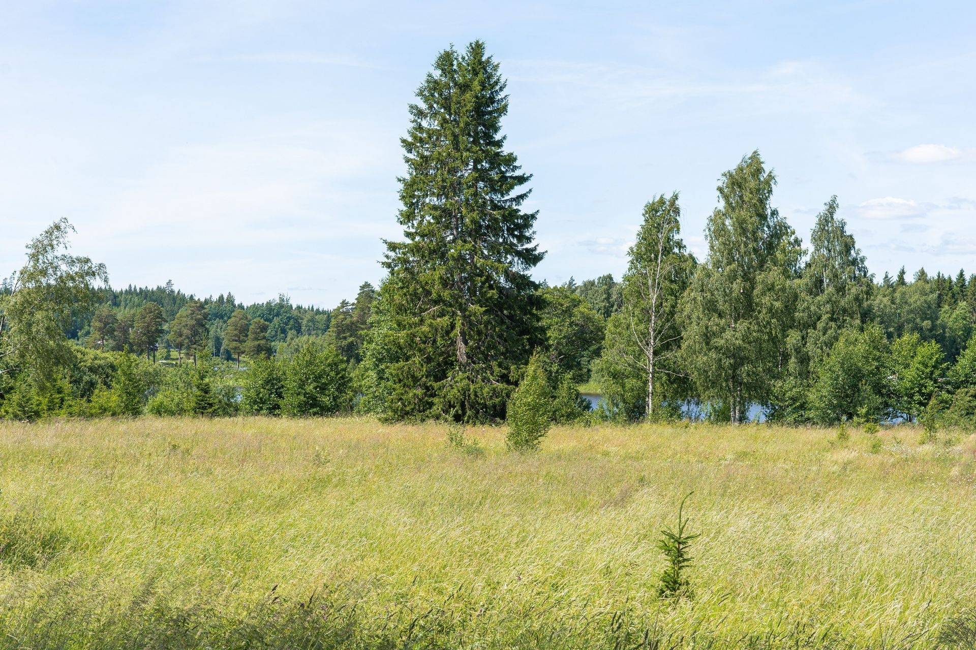 3 rum Villa på Bjurön 9 Storfors Storfors kommun - bild 28