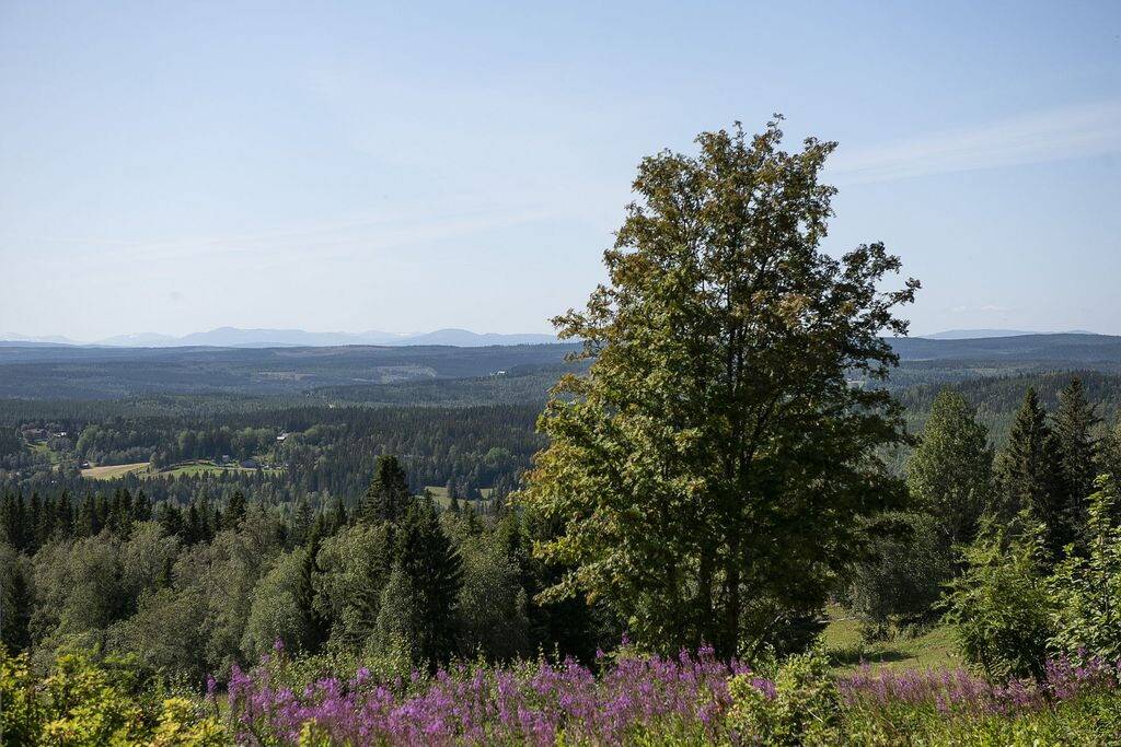 4 rum Fritidshus på Landverk 175 Alsen Krokoms kommun - bild 30