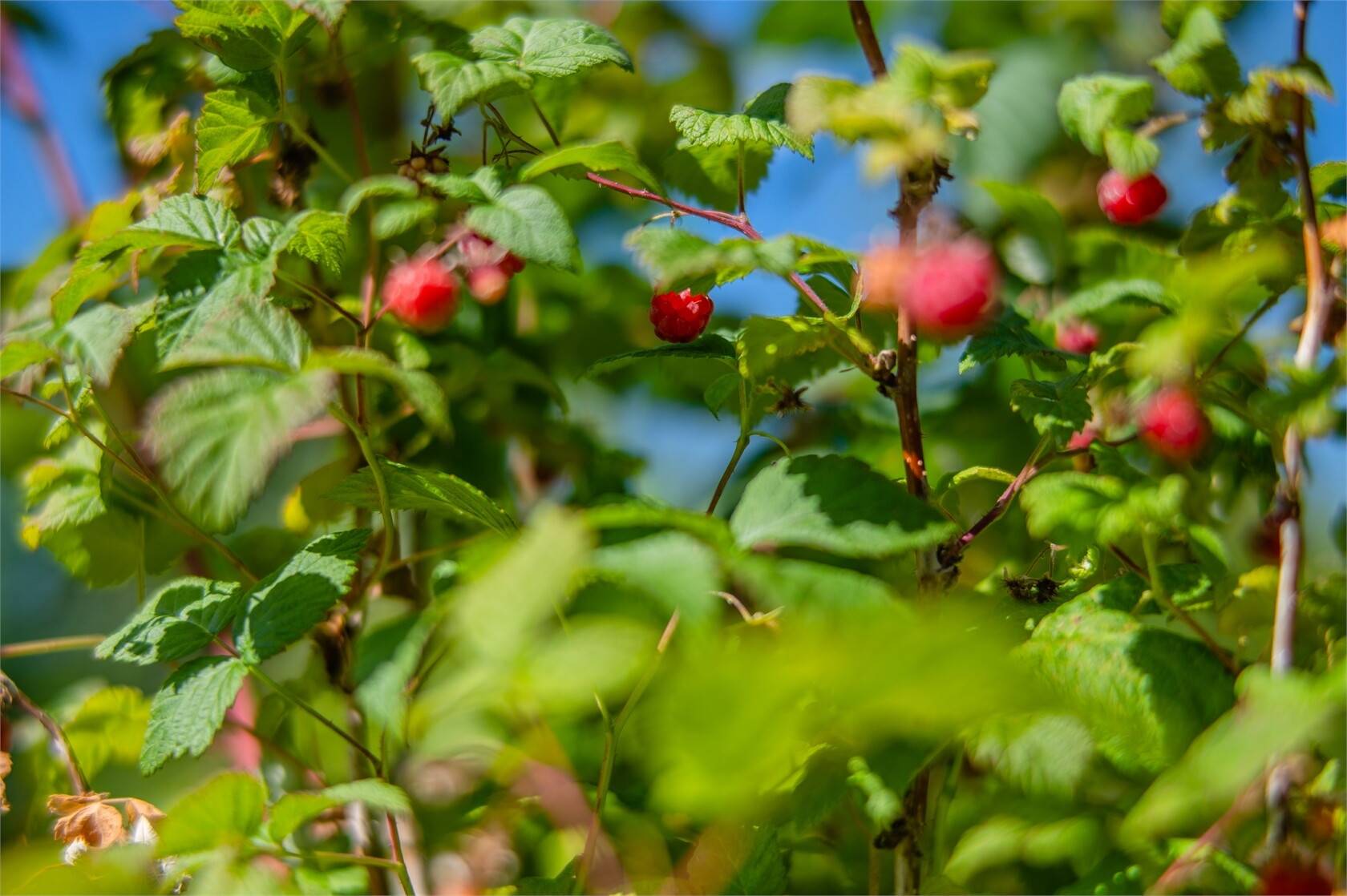 6 rum Villa på Kittelvägen 14 Vallhov Sandvikens kommun - bild 9