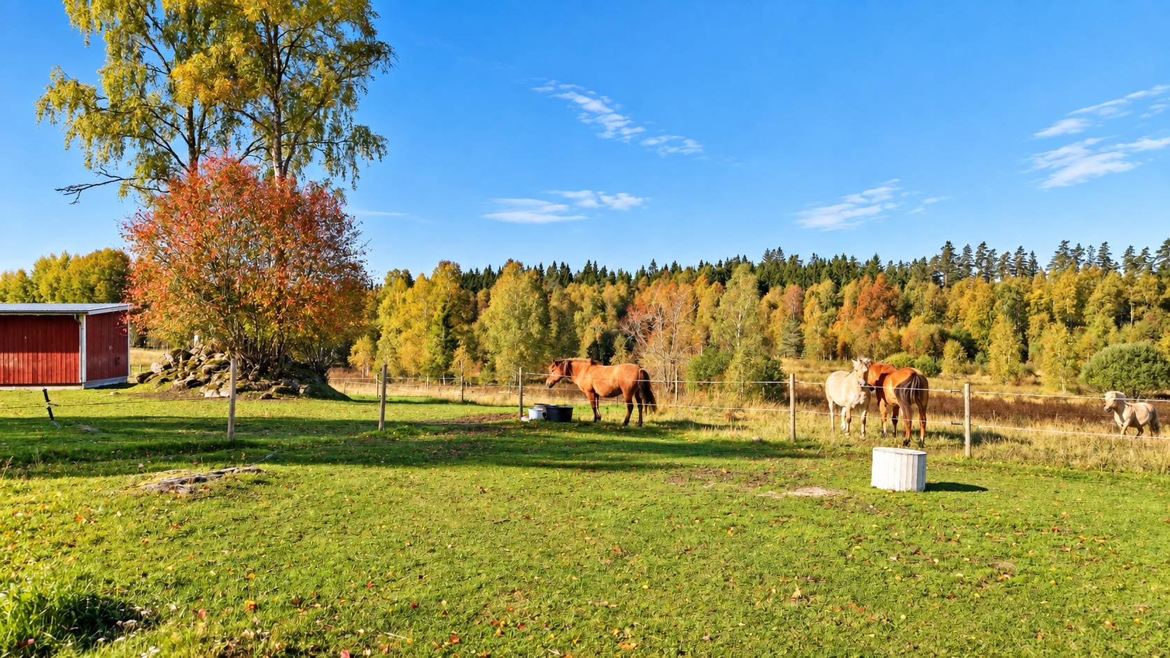 5 rum Gård utan jordbruk på Våeryd 9 Tenhult Jönköpings kommun - bild 8