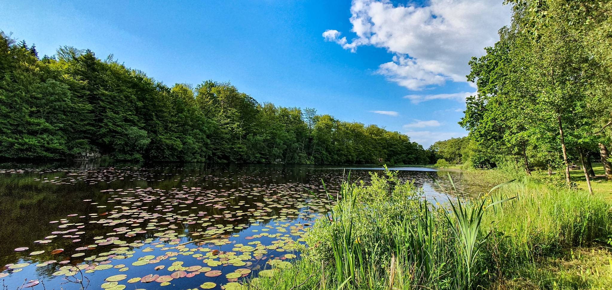 5 rum Villa på Telegatan 3 Kågeröd Svalövs kommun - bild 32