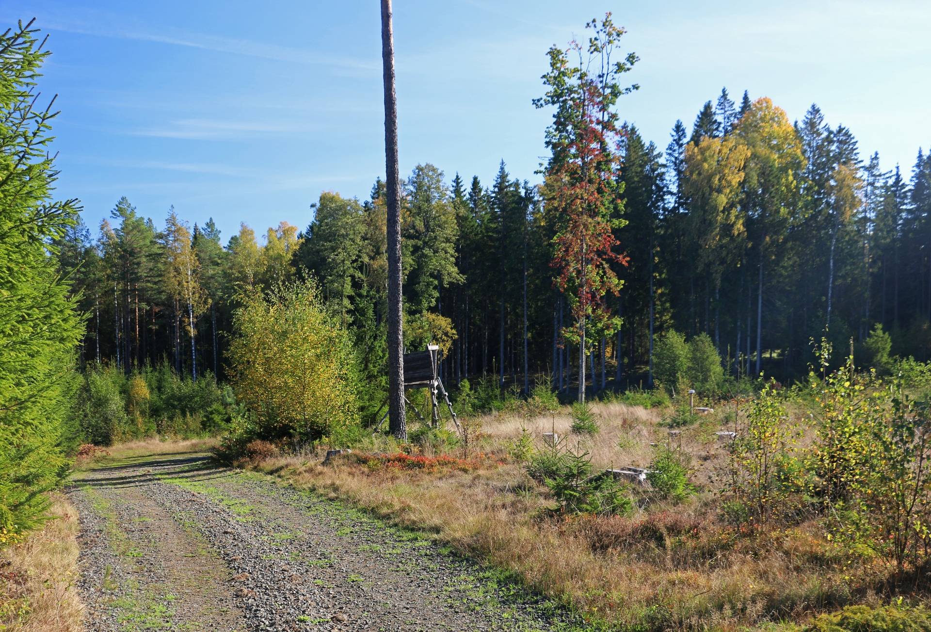Gård med jordbruk på Älmekulla Ydre kommun - bild 4