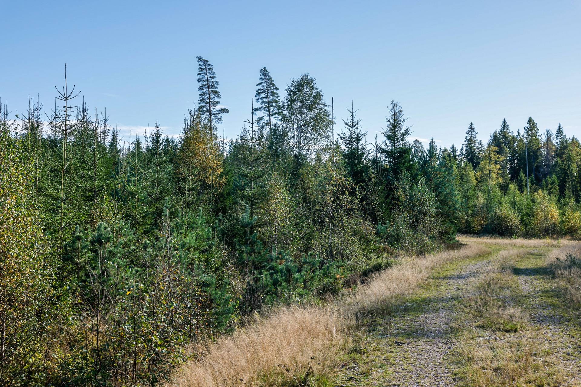 Gård/skog på SVENLJUNGA UGGLEBO 2:3 Örsås Svenljunga kommun - bild 22