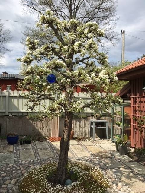 4 rum Villa på Järnvägsgatan 8 Gamla Torshälla Eskilstuna kommun - bild 82